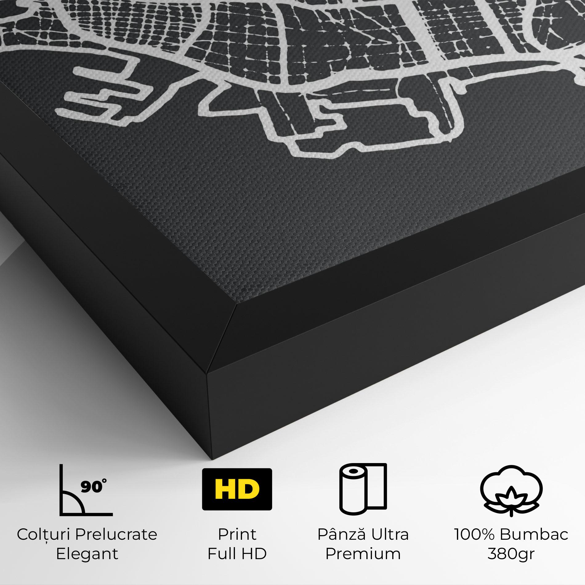 Tablou Canvas Genoa Map mockup 4