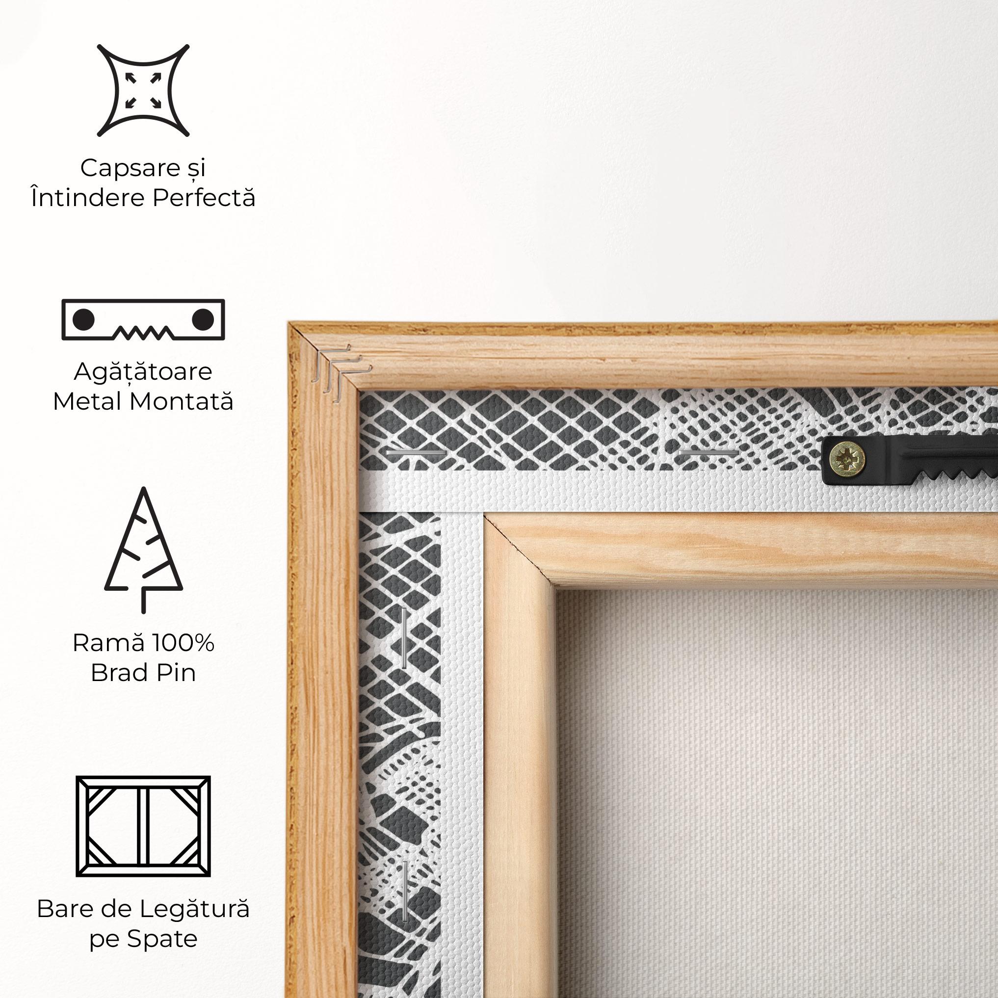 Tablou Canvas Barcelona Map mockup 5