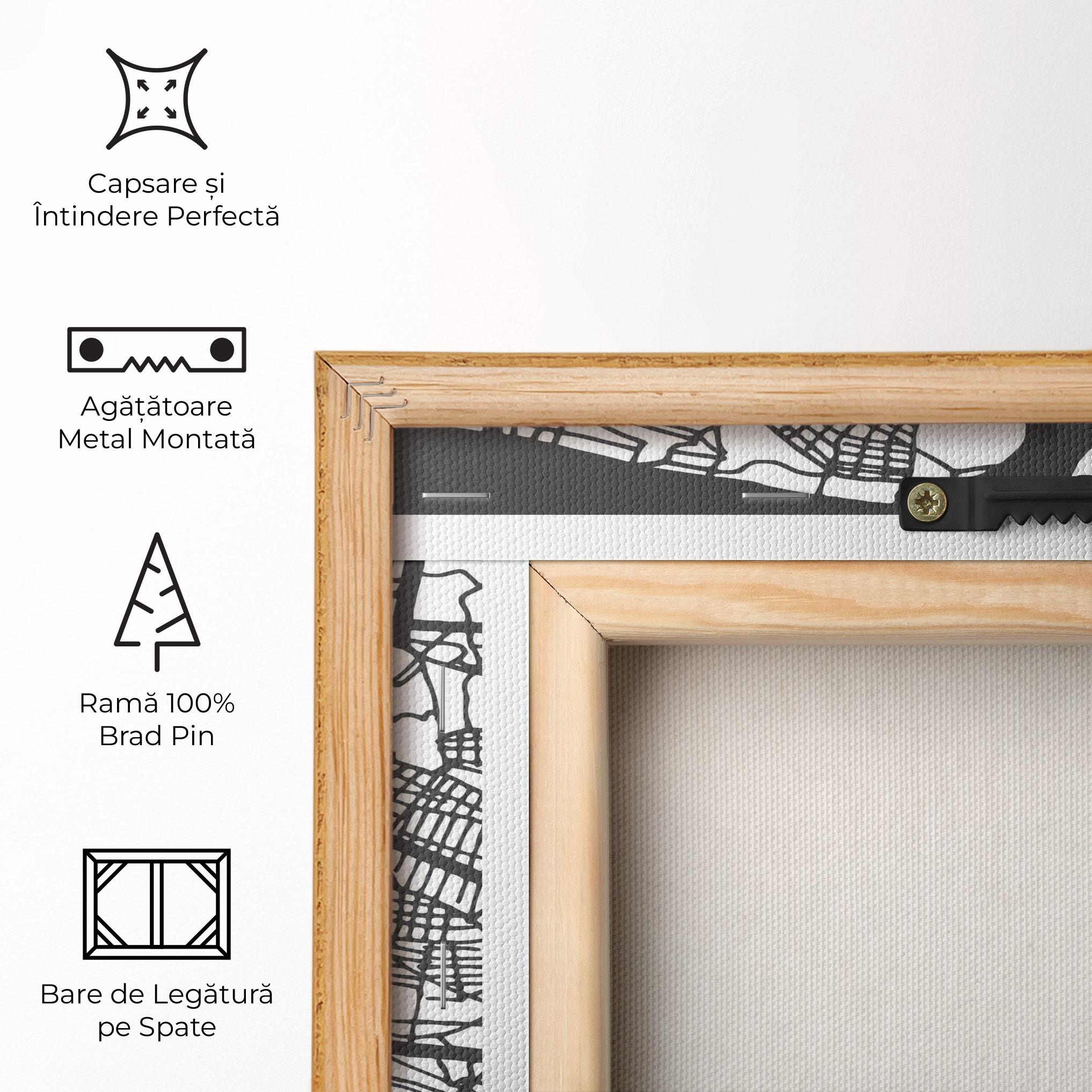 Tablou Canvas Belgrade Map mockup 5