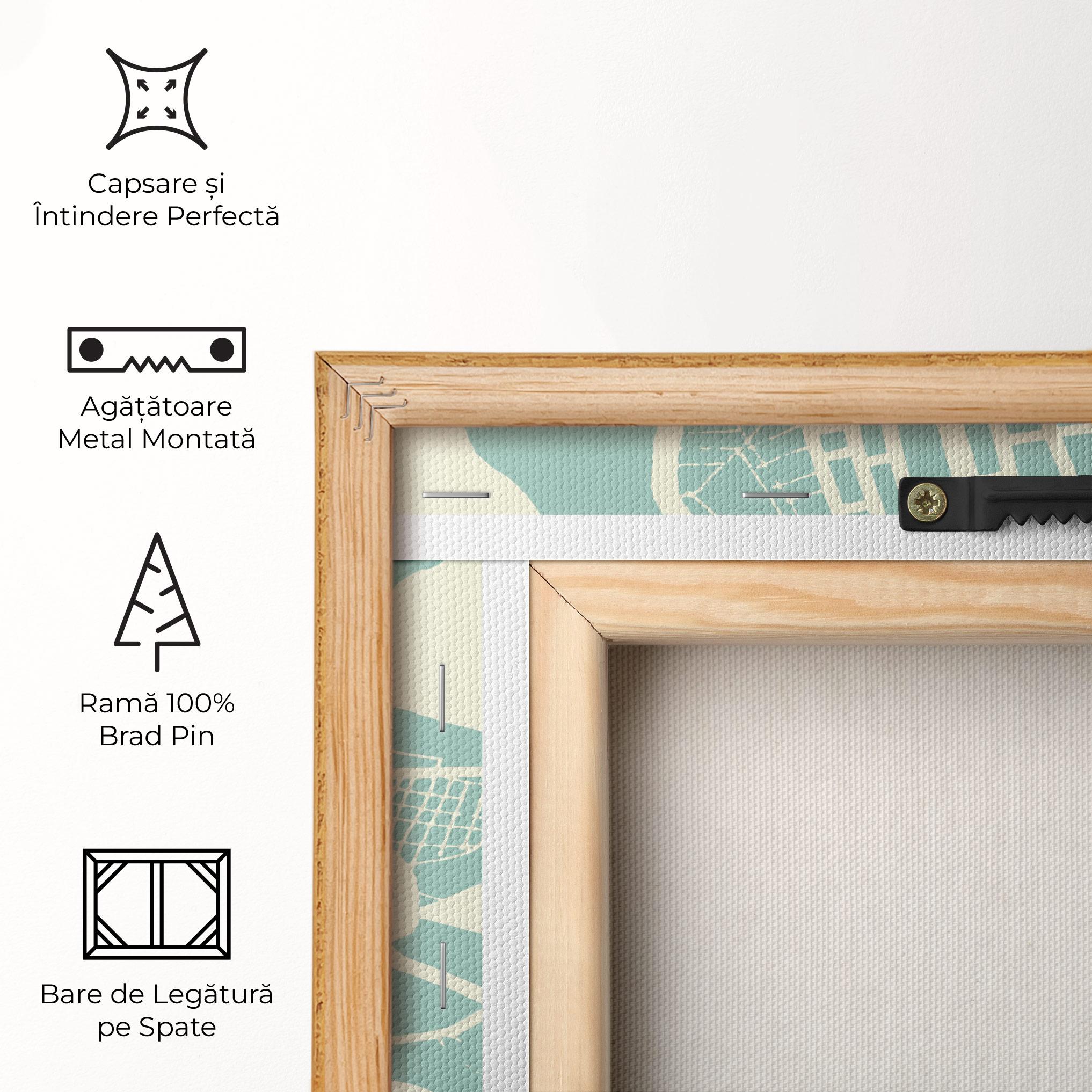 Tablou Canvas Brasilia Map mockup 5