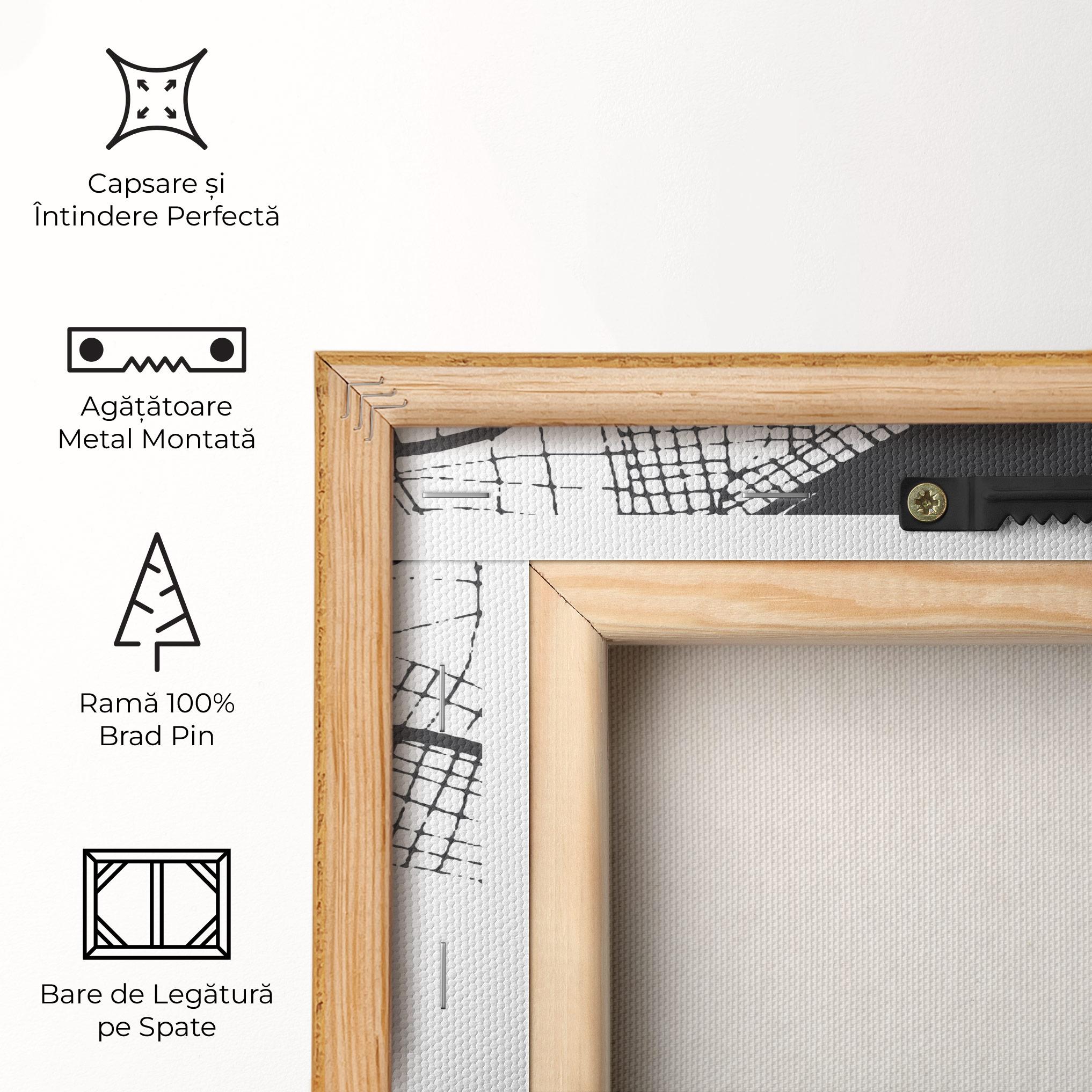 Tablou Canvas Chalcis Map mockup 5