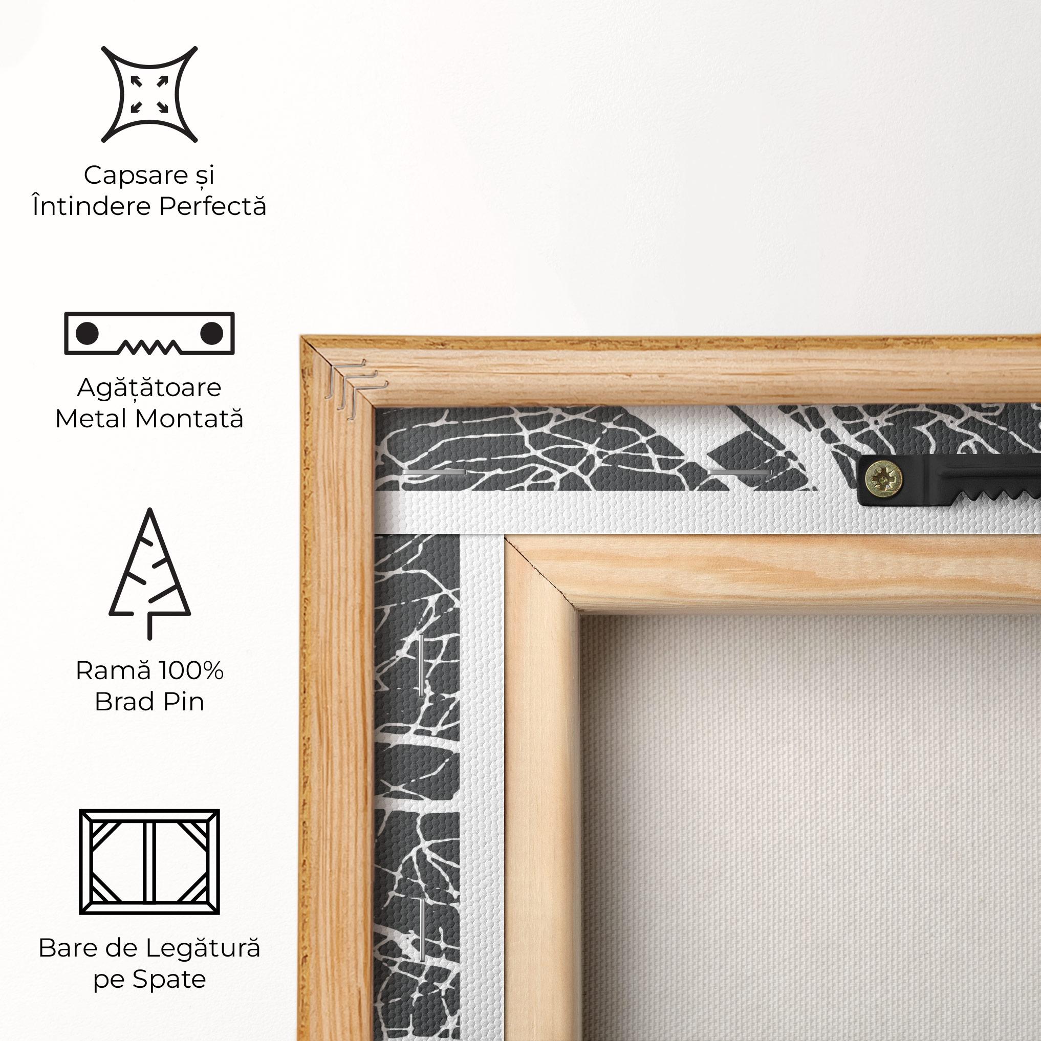 Tablou Canvas Genoa Map mockup 5