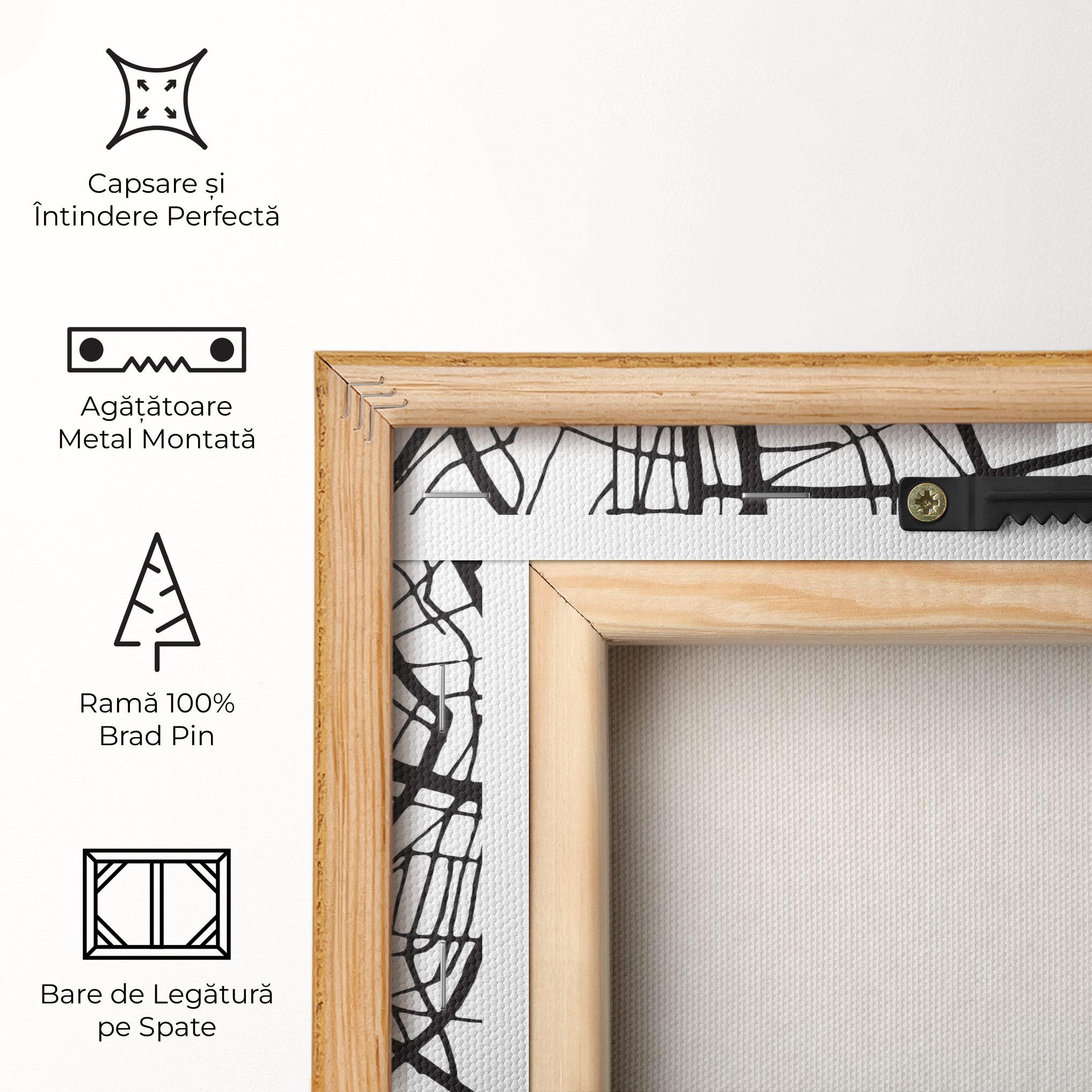 Tablou Canvas Zaragoza City Map mockup 5