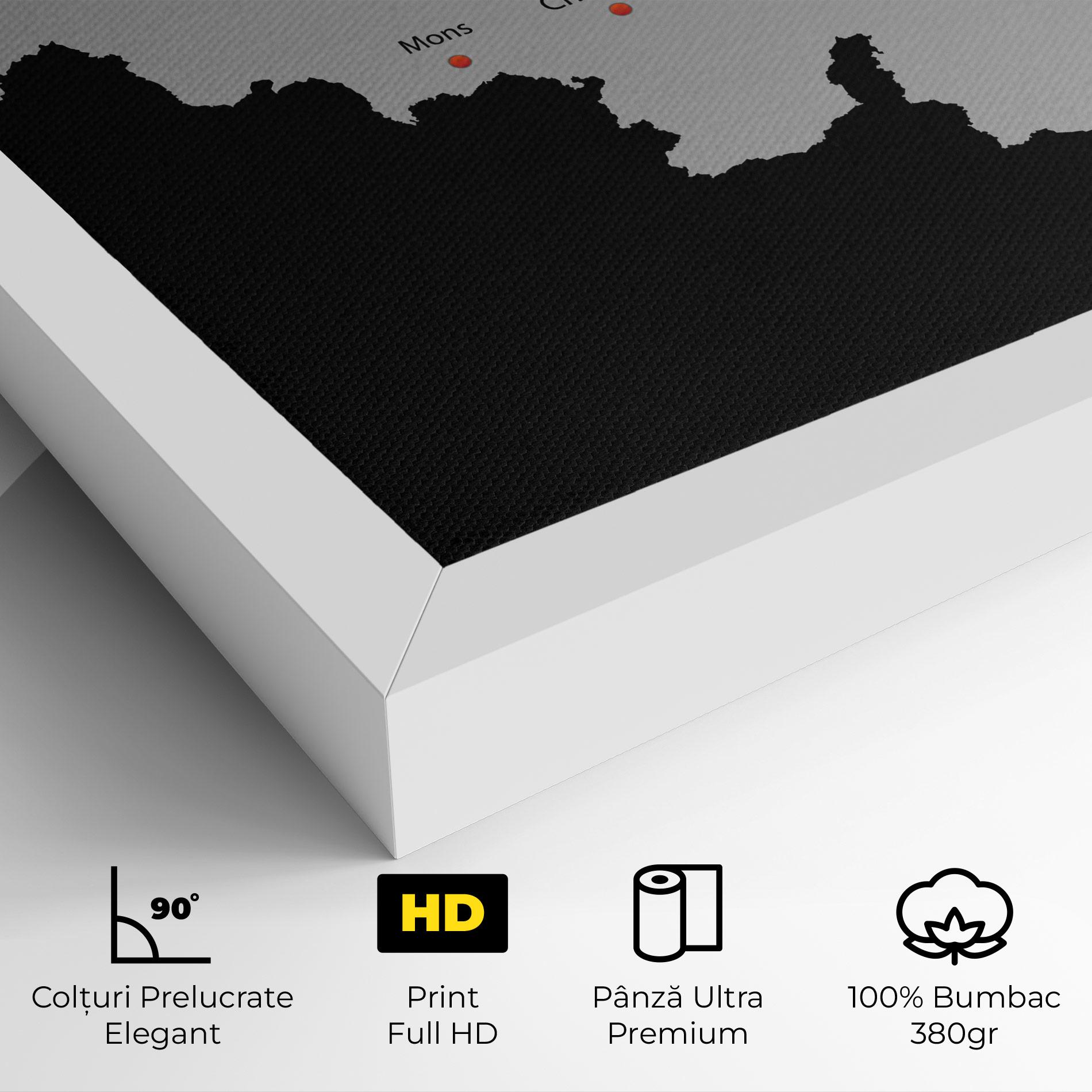 Tablou Canvas Belgium Map mockup 4