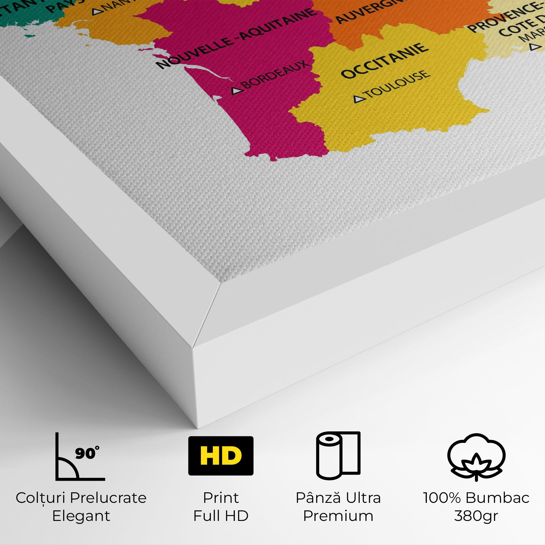 Tablou Canvas France Color Map mockup 4