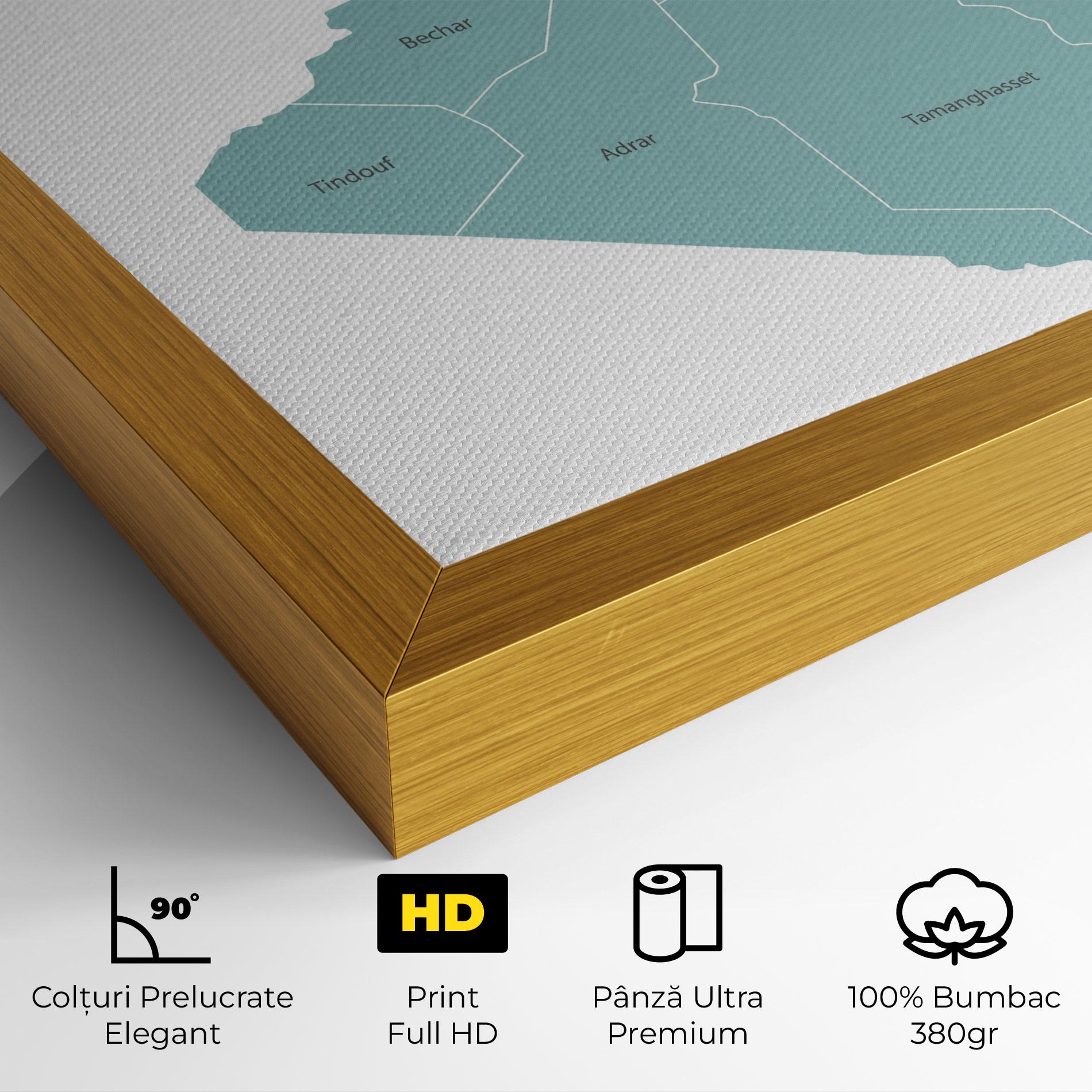 Tablou Canvas Algeria Map mockup 4