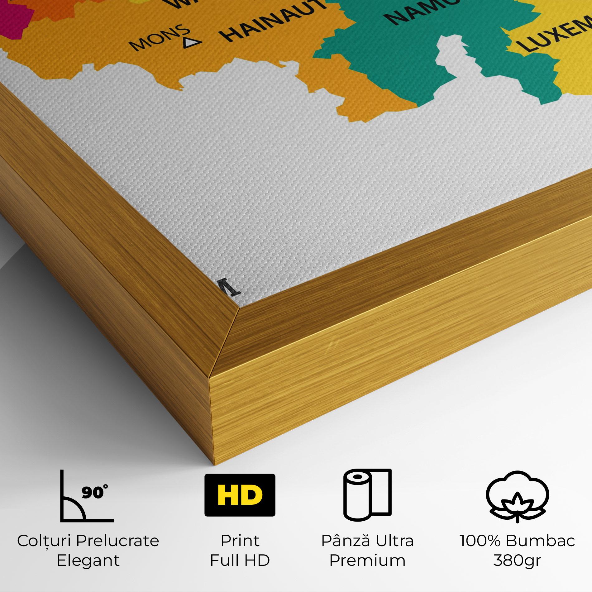 Tablou Canvas Belgium Color Map mockup 4