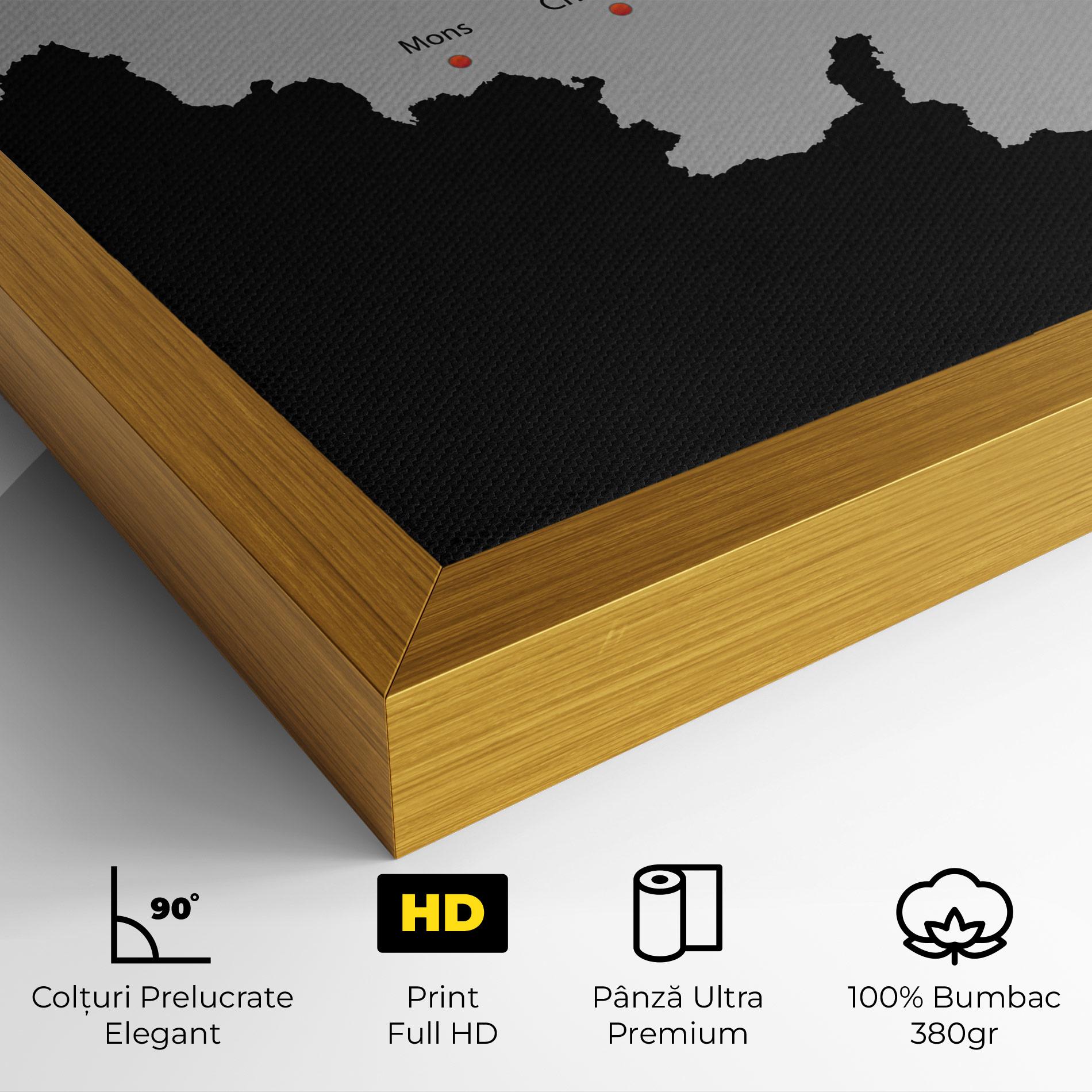 Tablou Canvas Belgium Map mockup 4