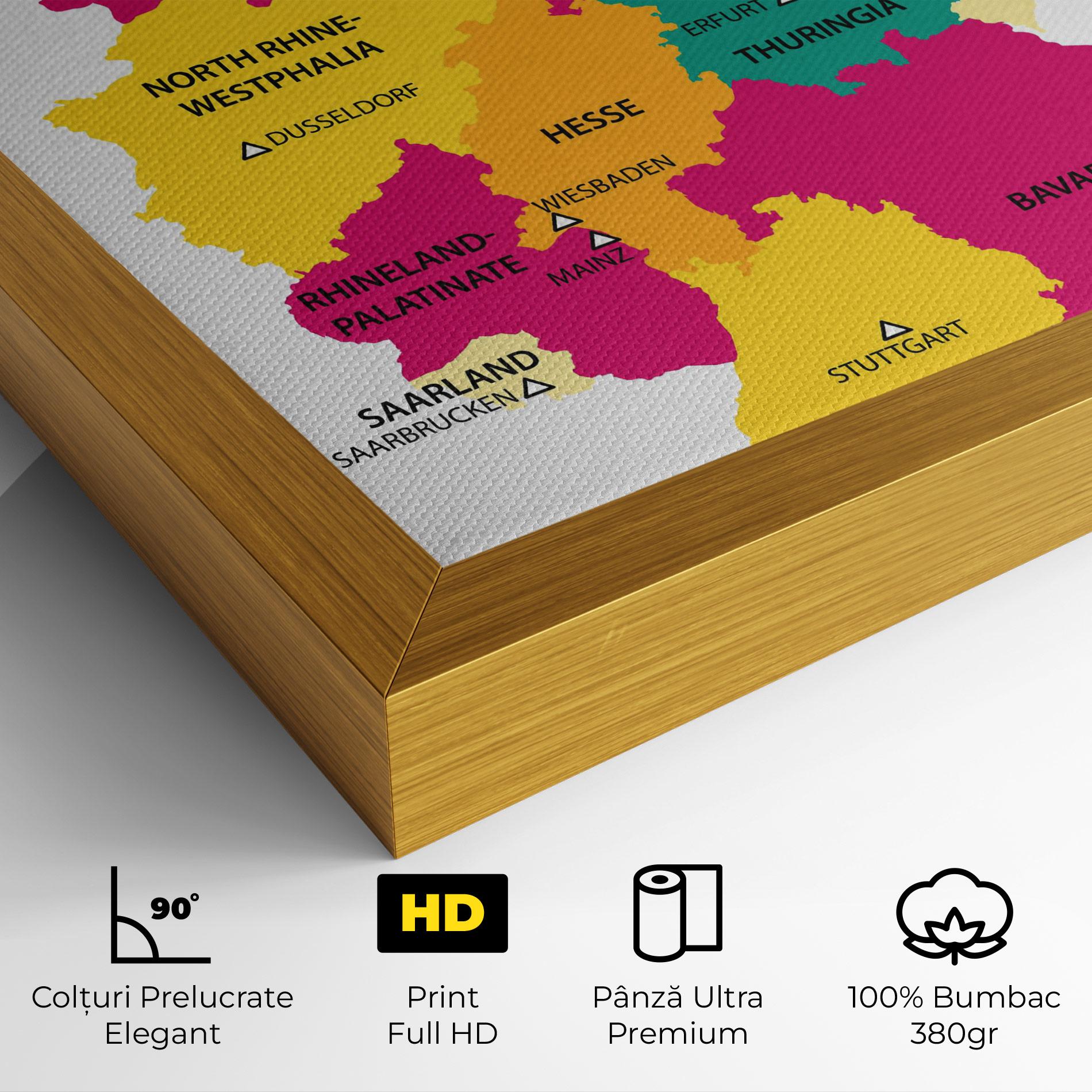 Tablou Canvas Germany Color Map mockup 4