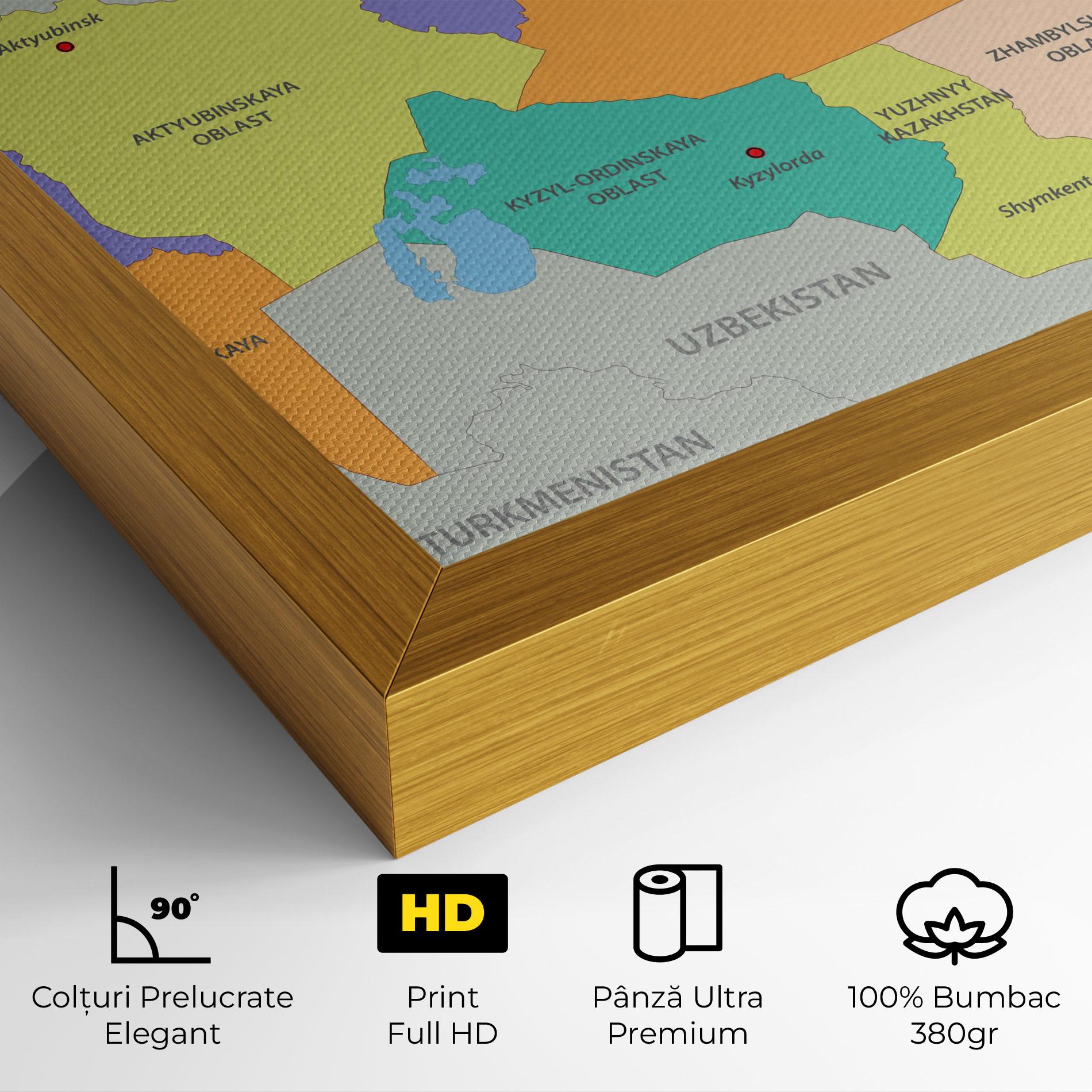 Tablou Canvas Kazakhstan Color Map mockup 4