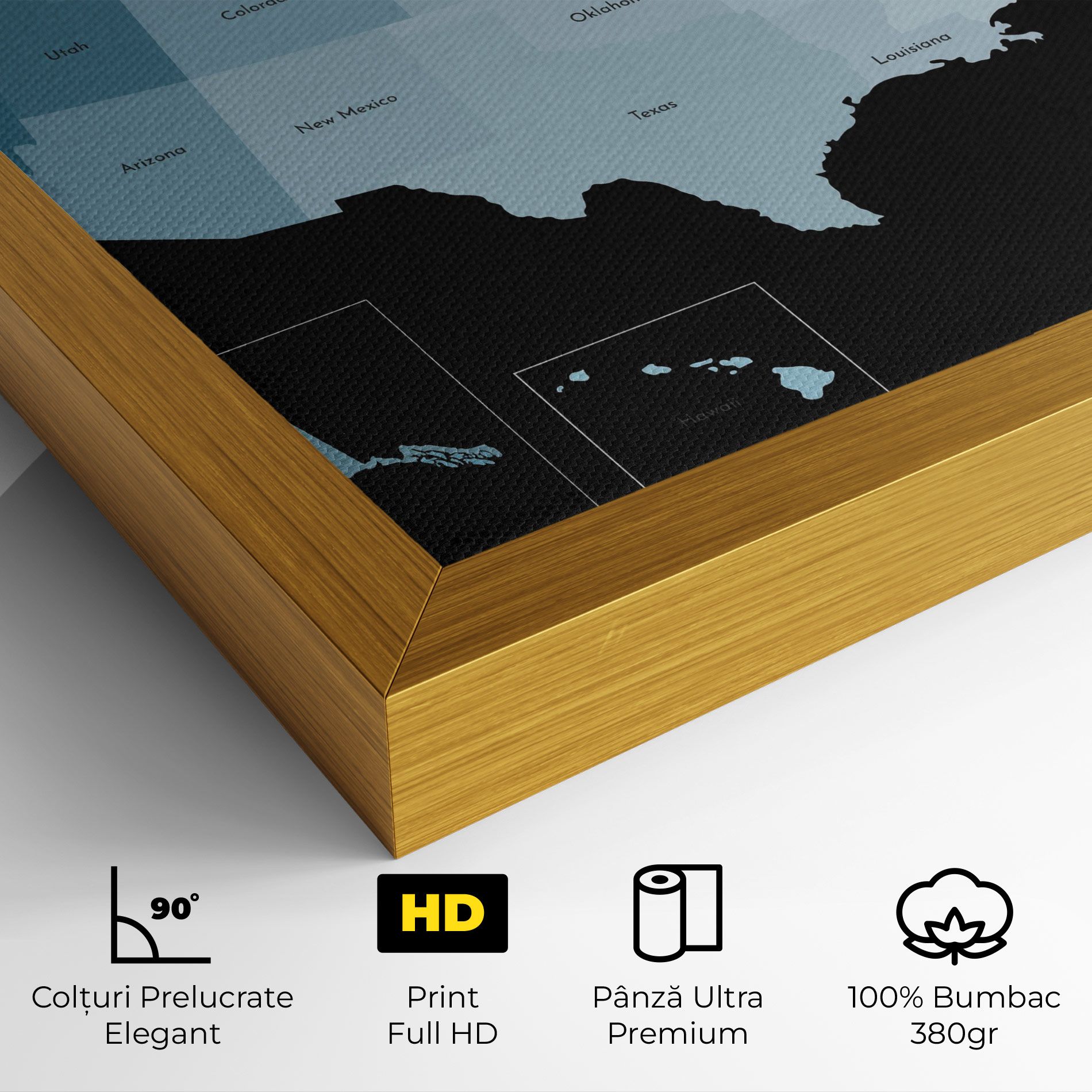 Sua Blue Map mockup 4