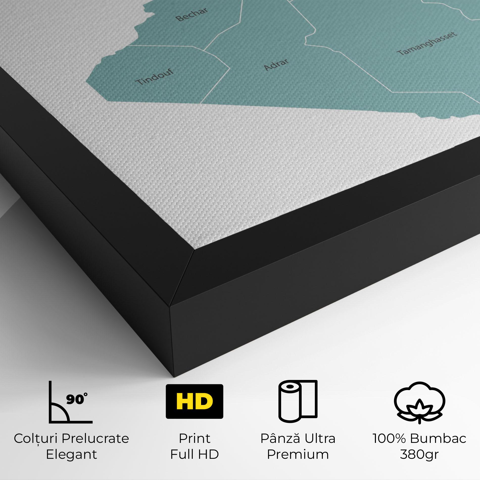 Tablou Canvas Algeria Map mockup 4