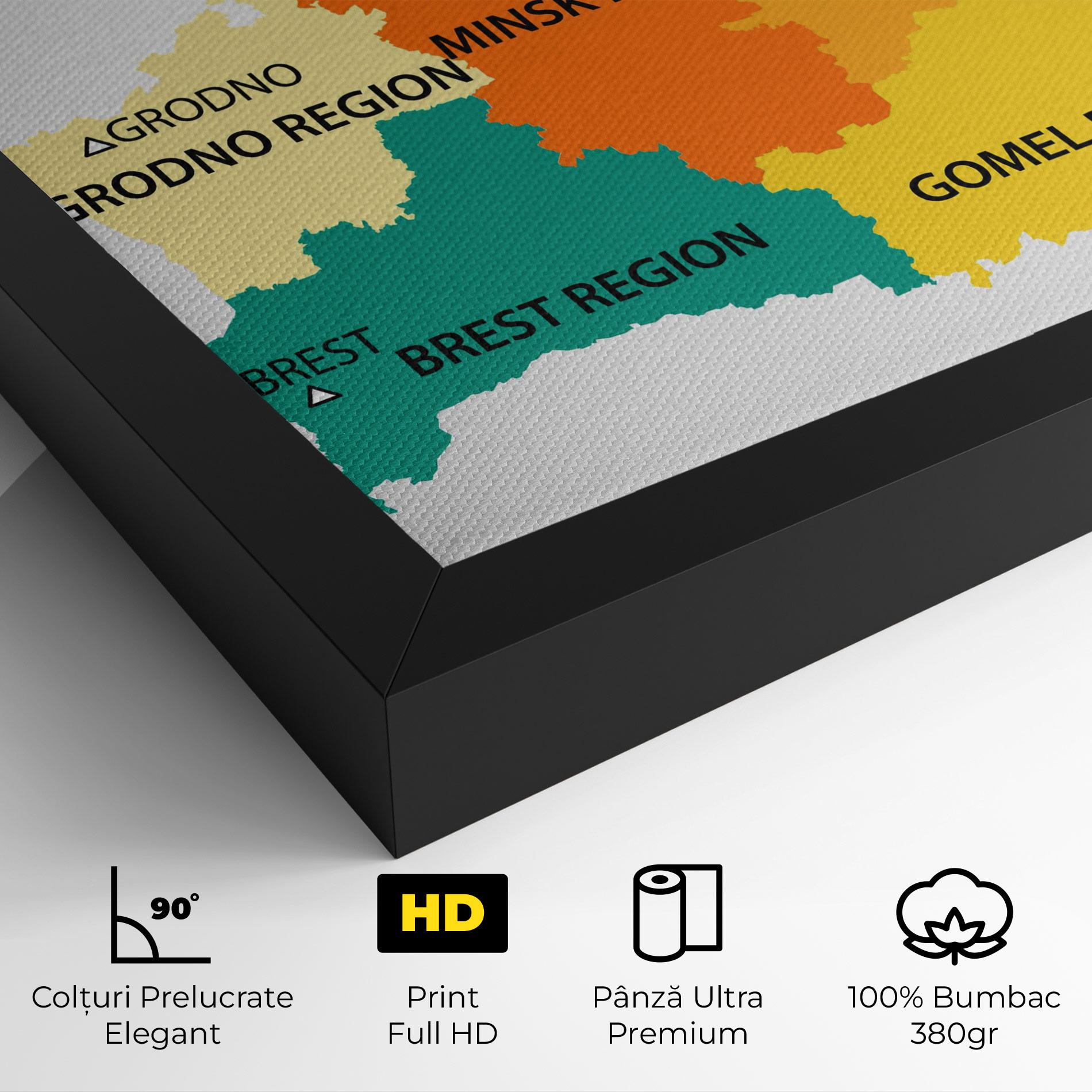 Tablou Canvas Belarus Color Map mockup 4