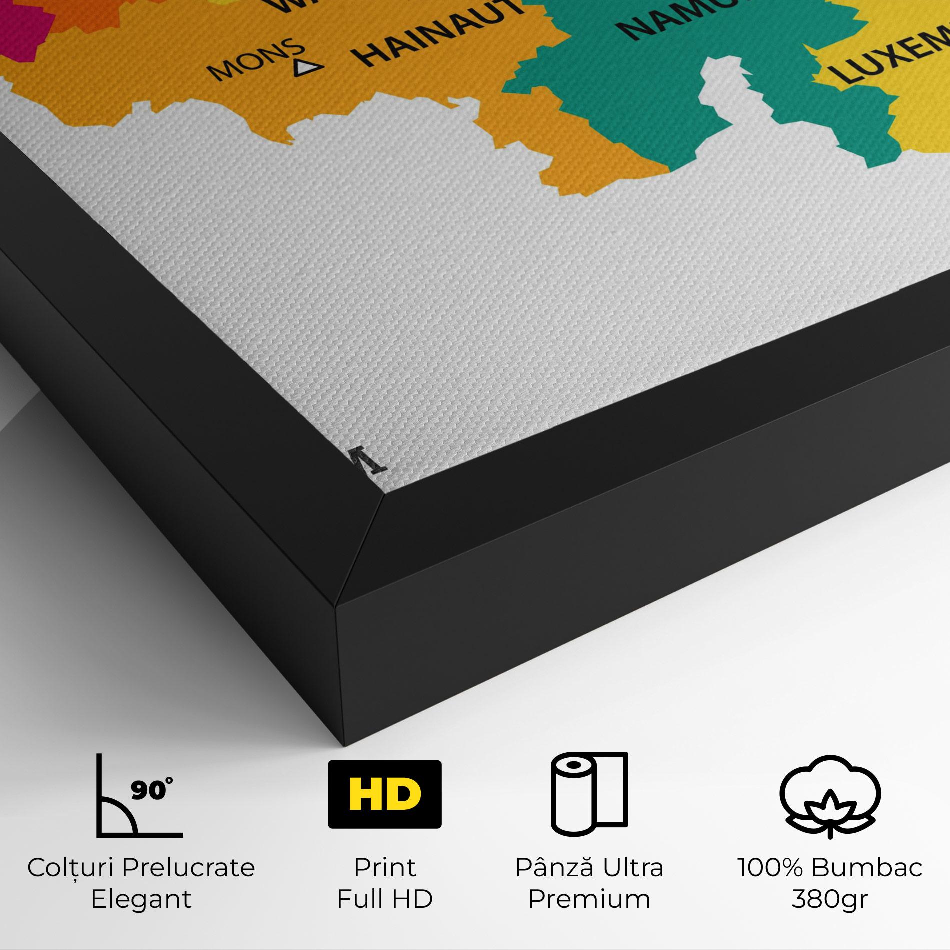 Tablou Canvas Belgium Color Map mockup 4