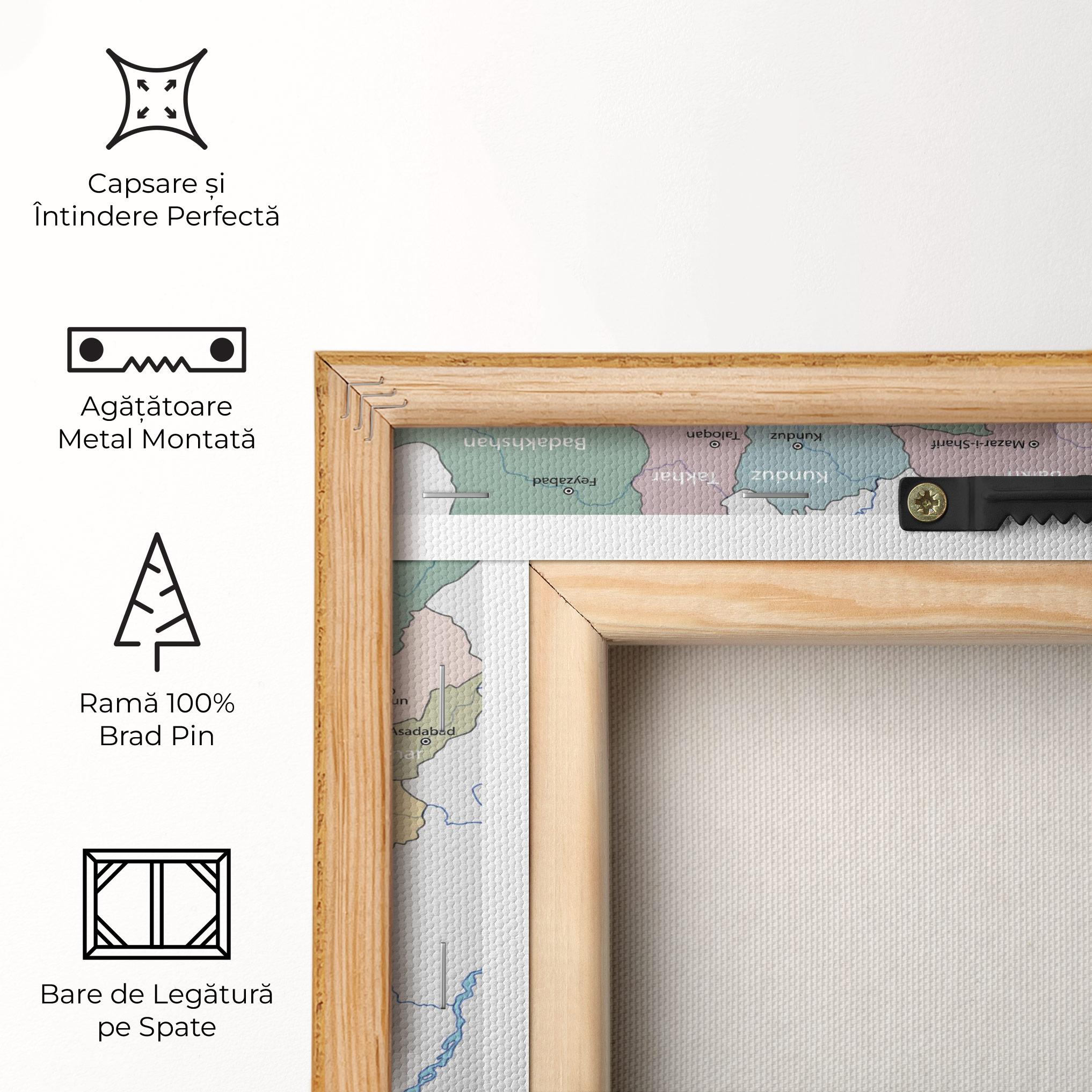 Tablou Canvas Afghanistan Map mockup 5