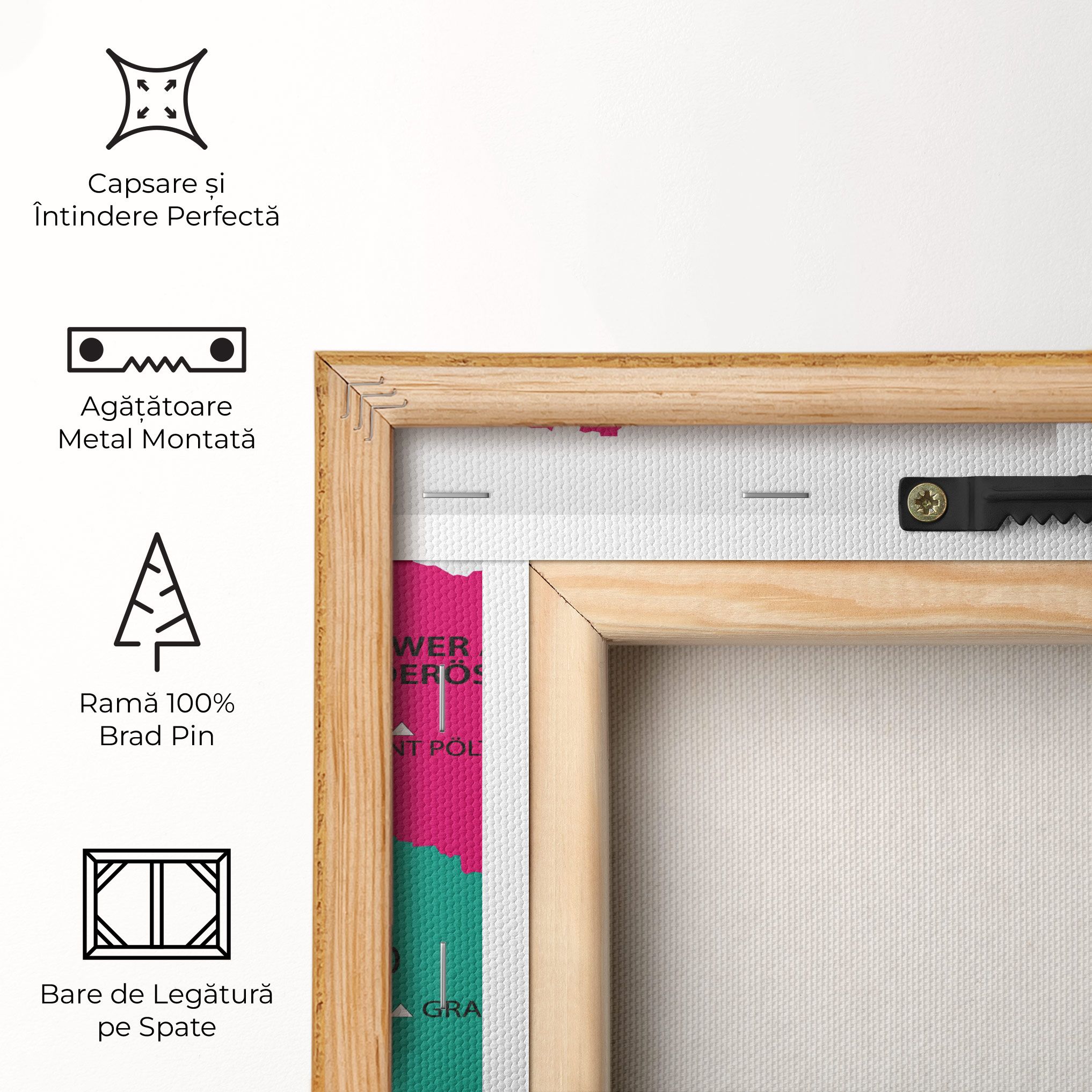 Austria Color Map mockup 5