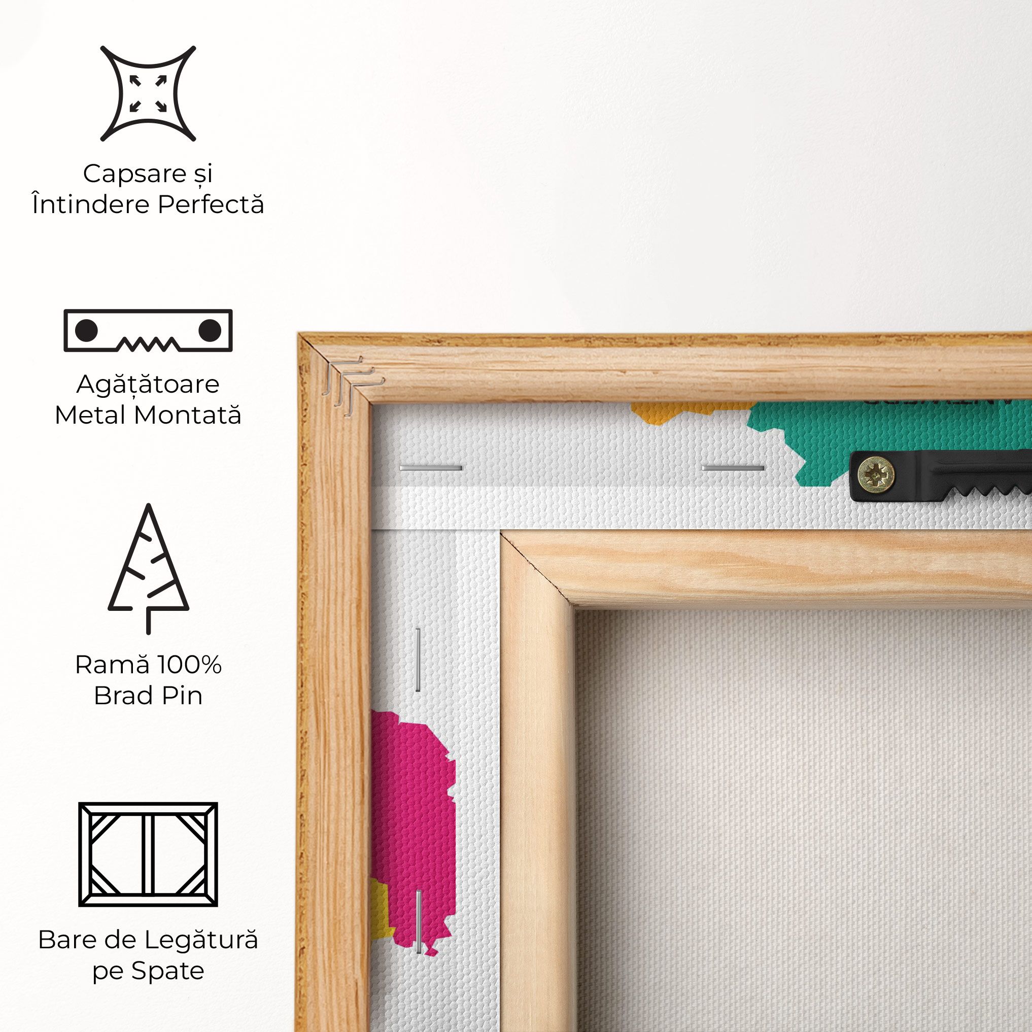 Belgium Color Map mockup 5