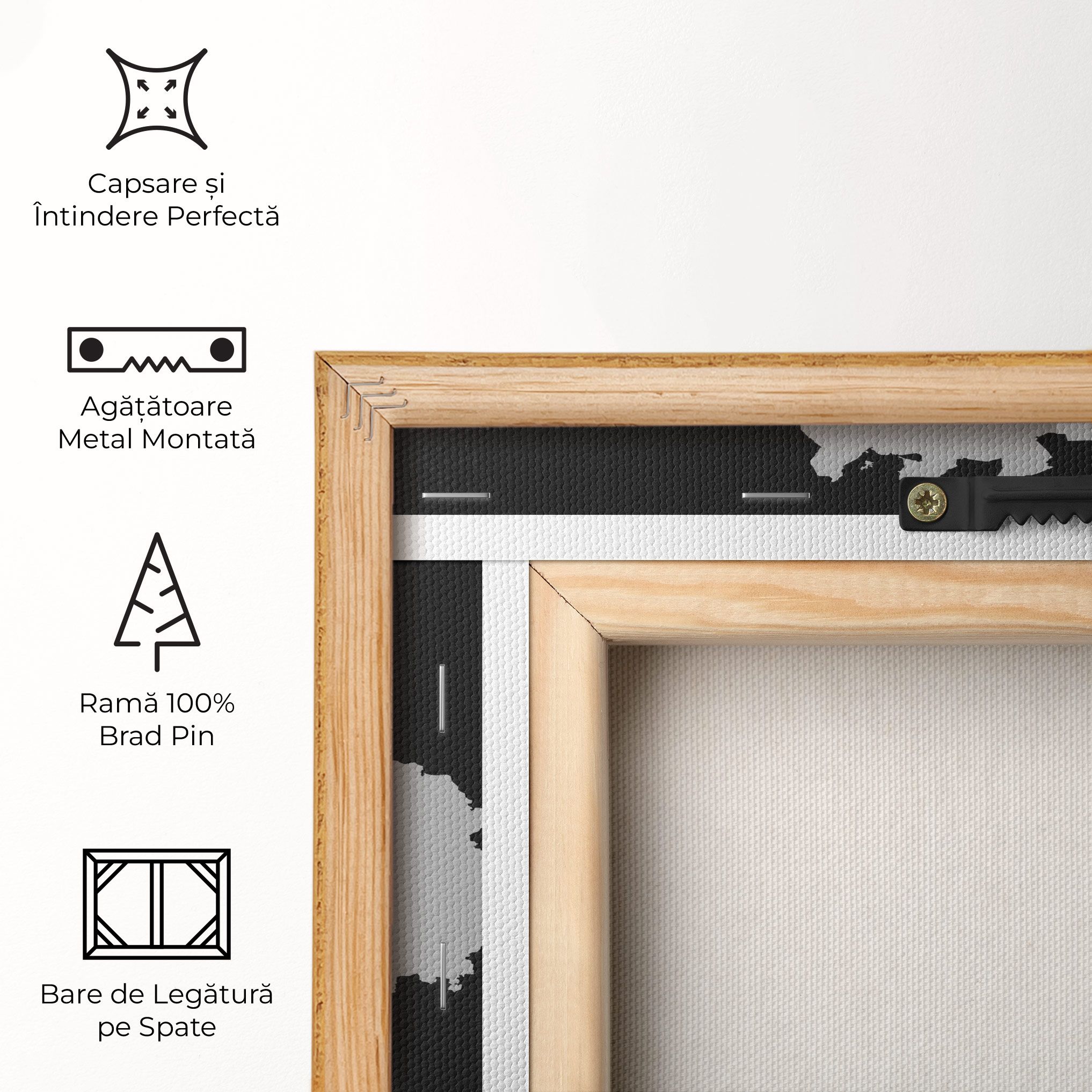 Belgium Map mockup 5