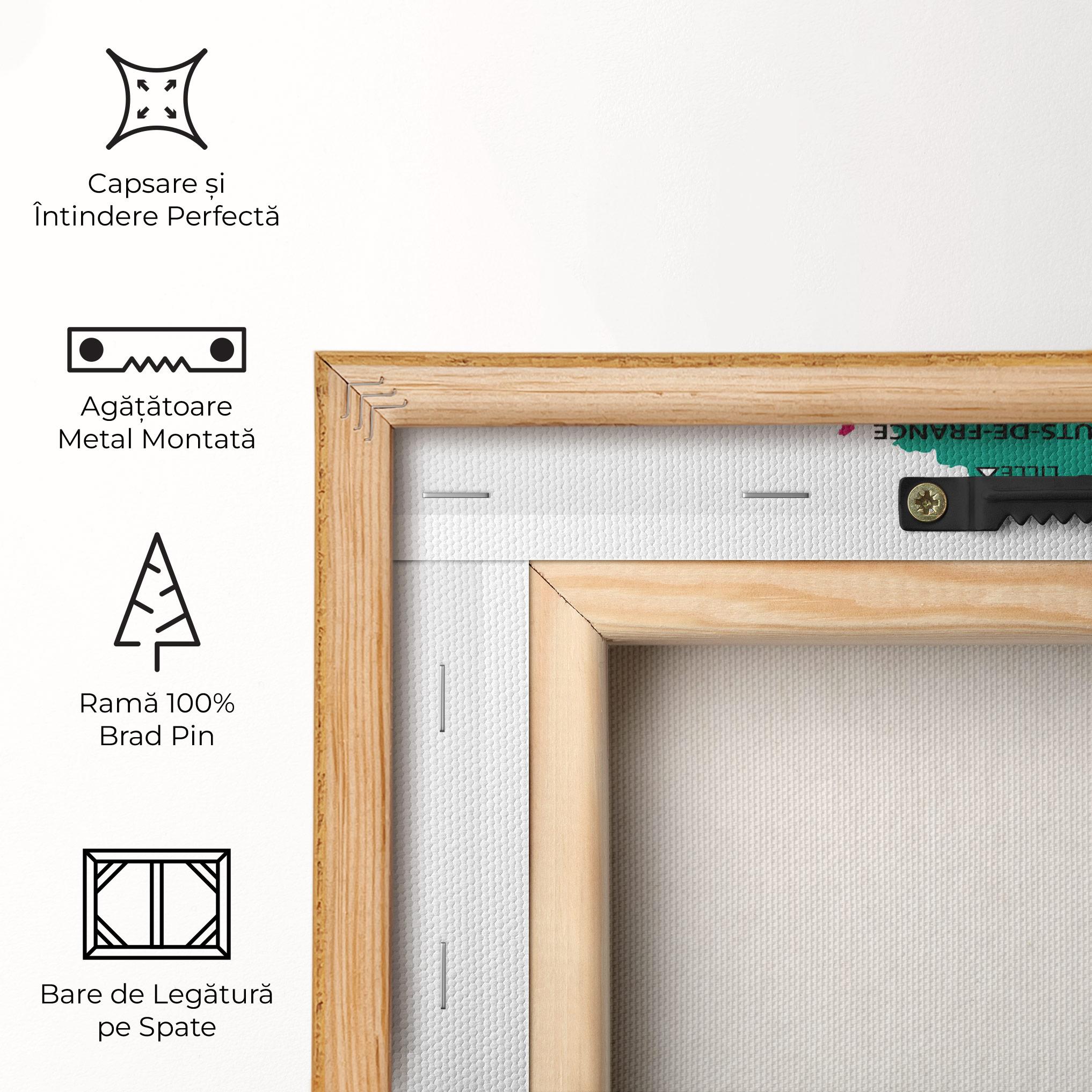 Tablou Canvas France Color Map mockup 5