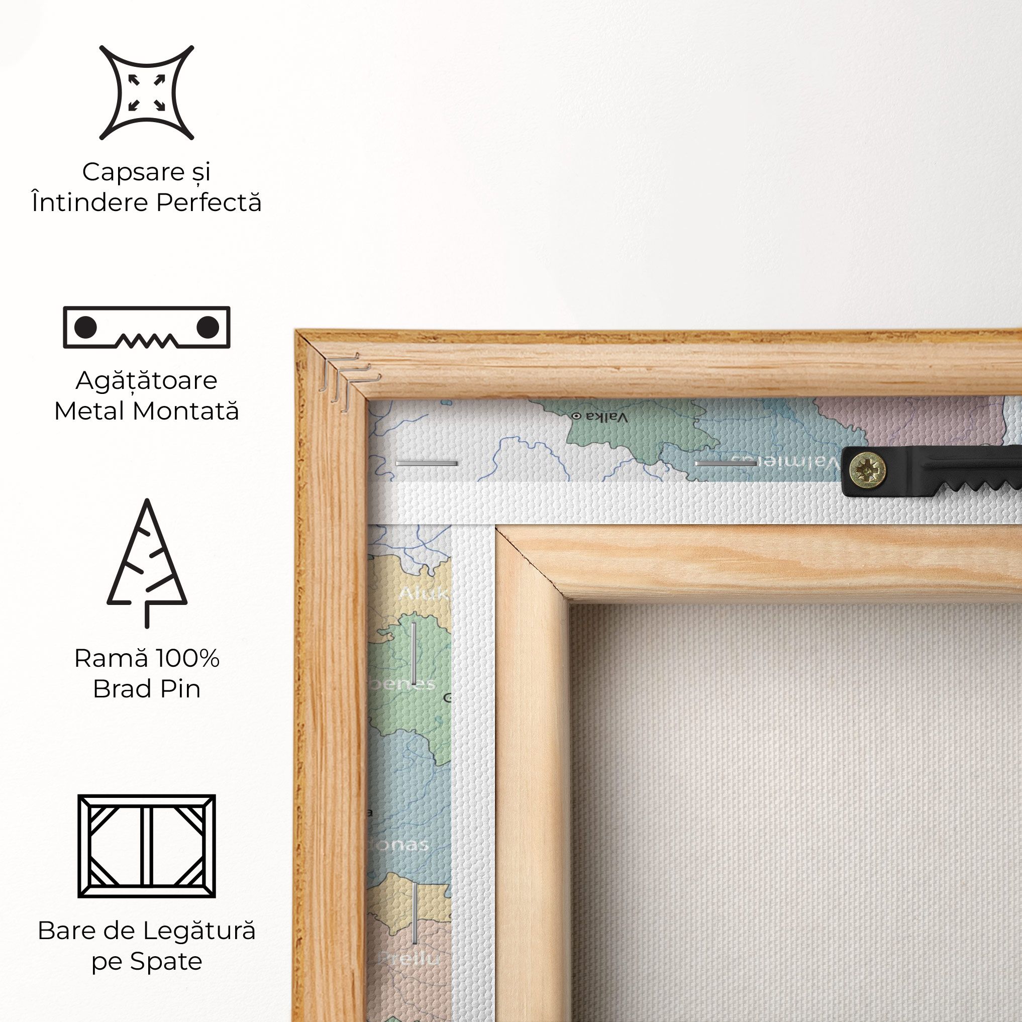 Latvia Color Map mockup 5