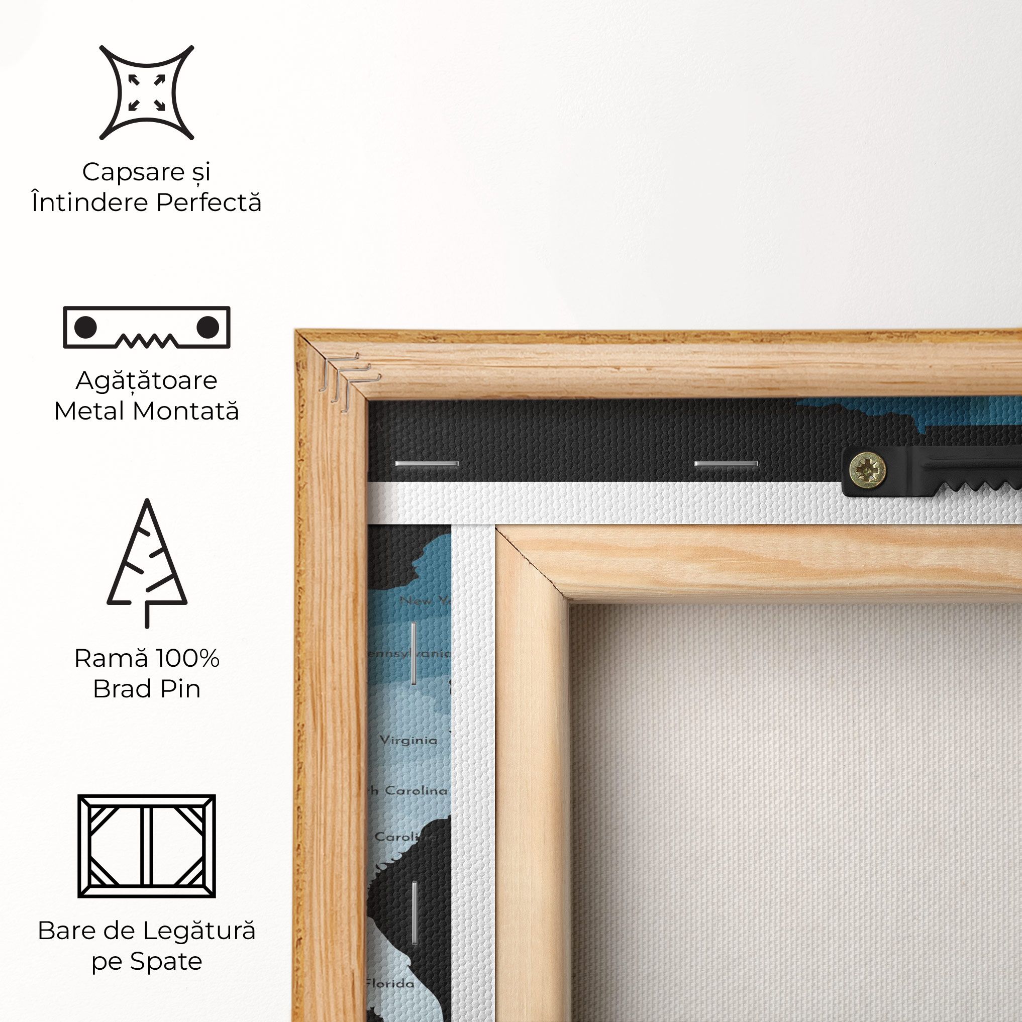 Sua Blue Map mockup 5