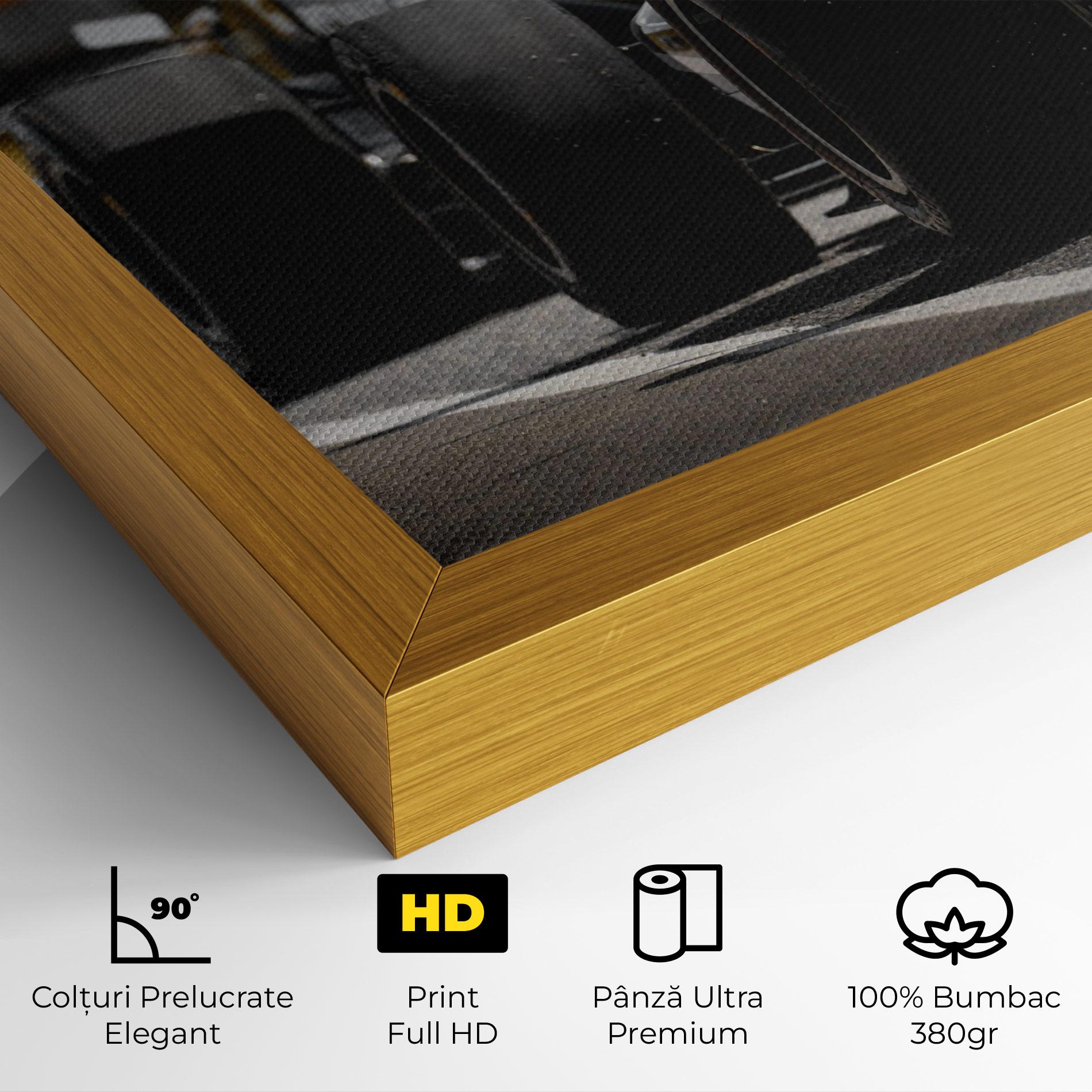 Tablou Canvas Grey F1 Cars mockup 4