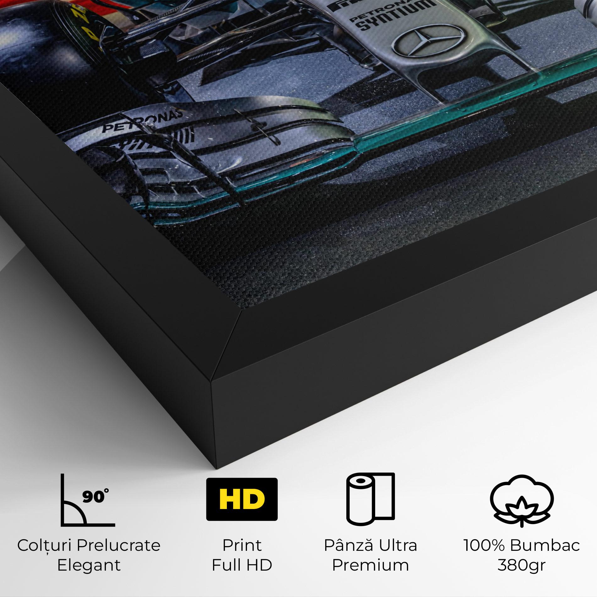 Tablou Canvas Black Green F1 mockup 4