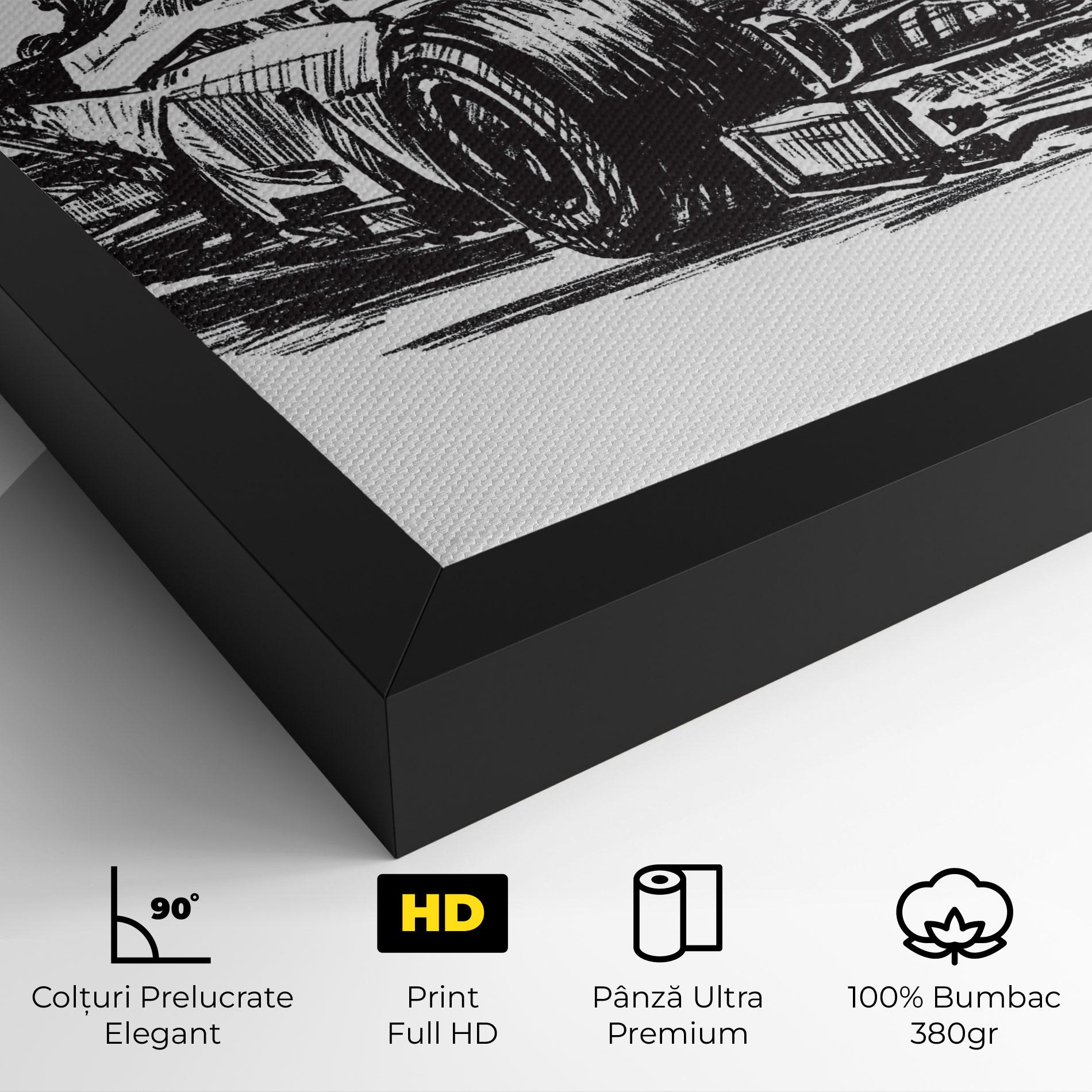 Tablou Canvas Black Line F1 mockup 4