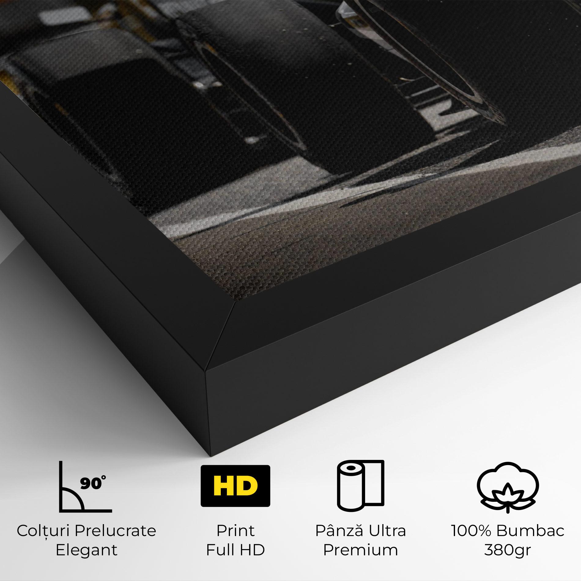 Tablou Canvas Grey F1 Cars mockup 4