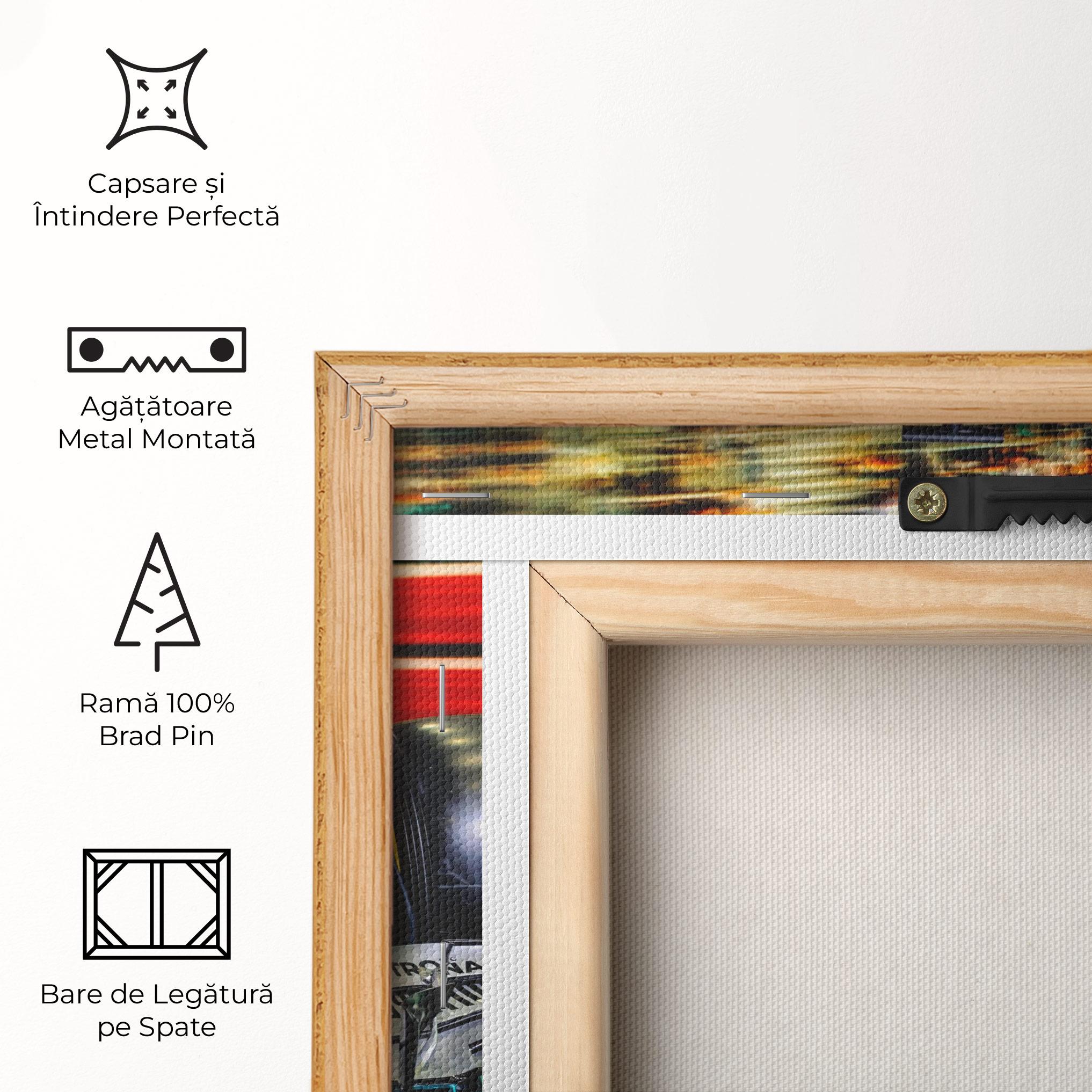 Tablou Canvas Black Green F1 mockup 5