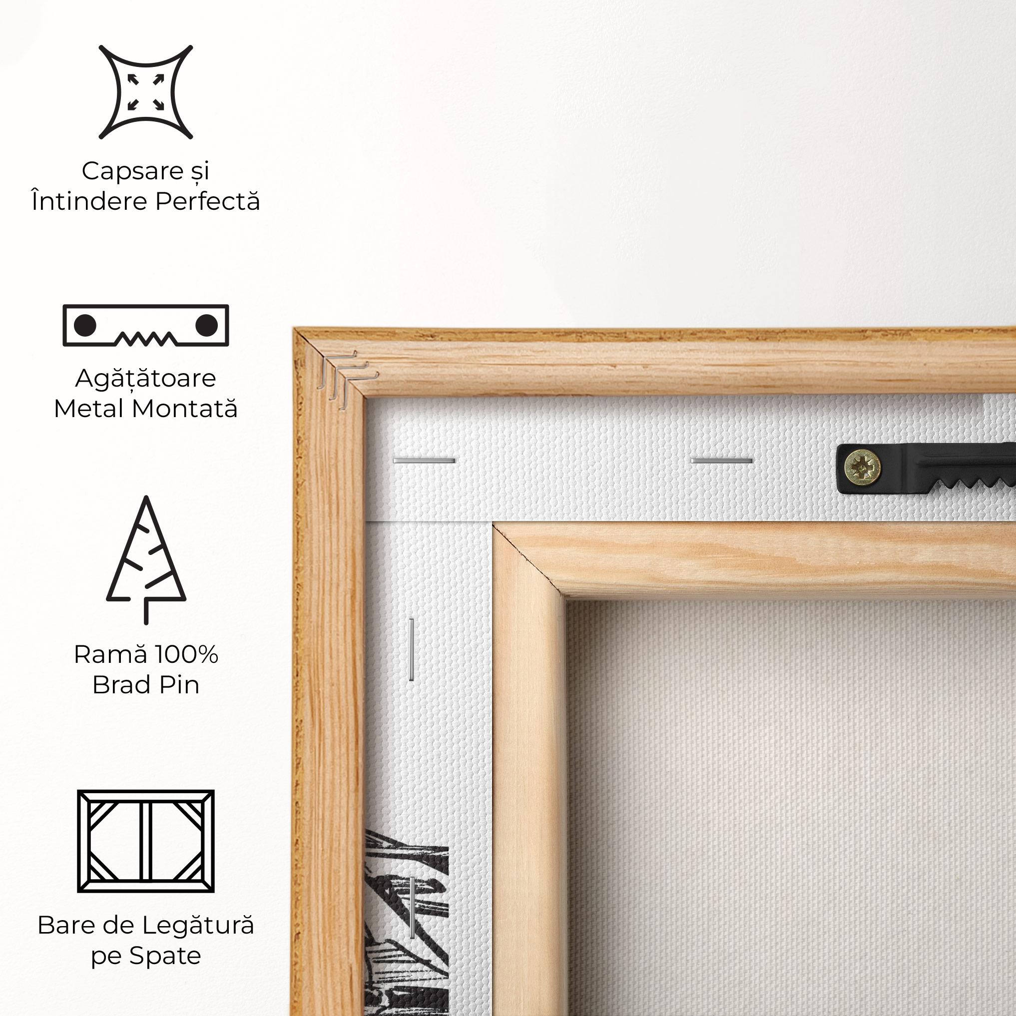 Tablou Canvas Black Line F1 mockup 5