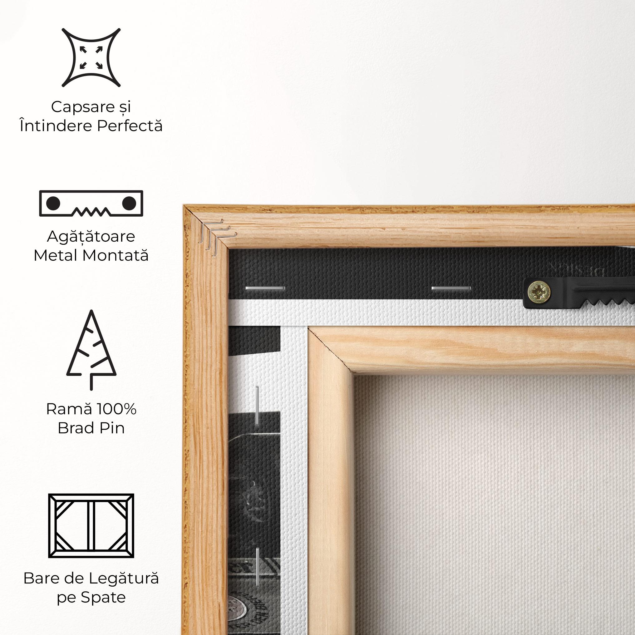 Tablou Canvas Formula 1 Car Grey mockup 5