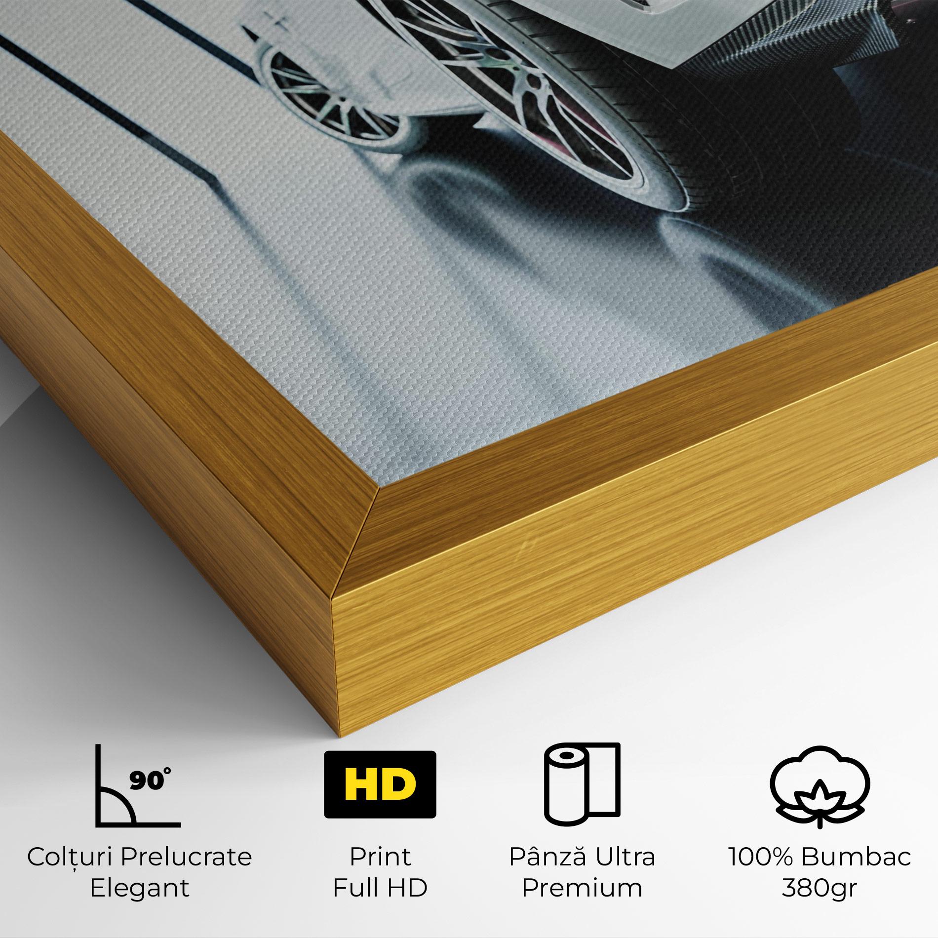 Tablou Canvas White Mercedes Amg mockup 4