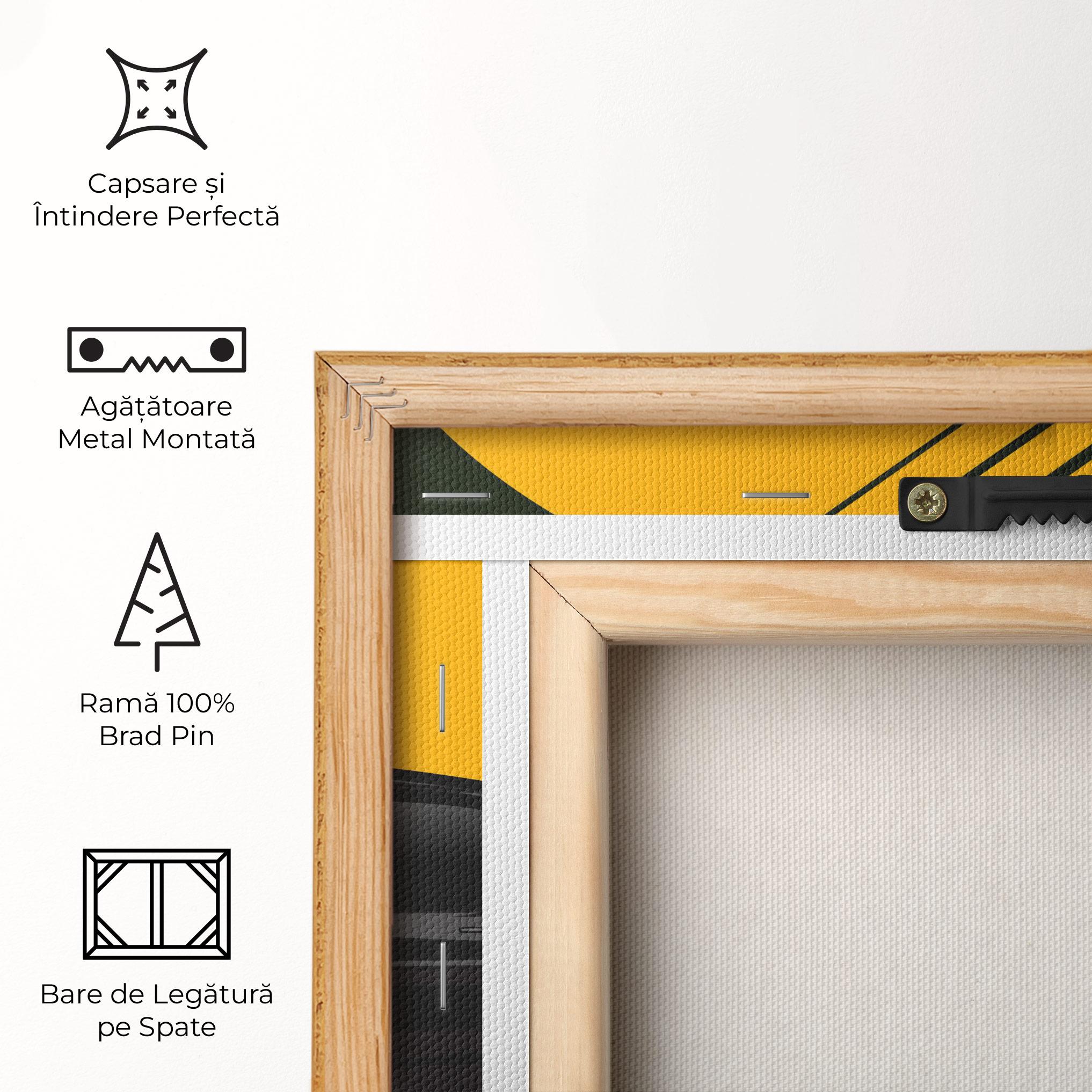 Tablou Canvas Black Car Sun mockup 5