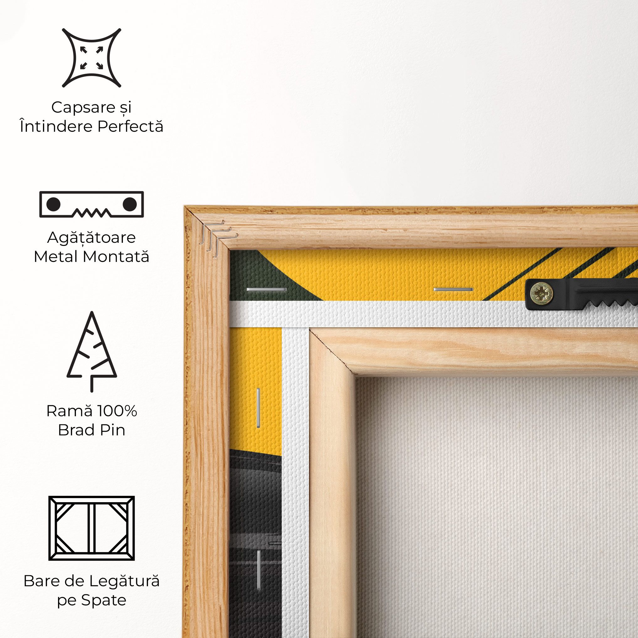 Black Car Sun mockup 5