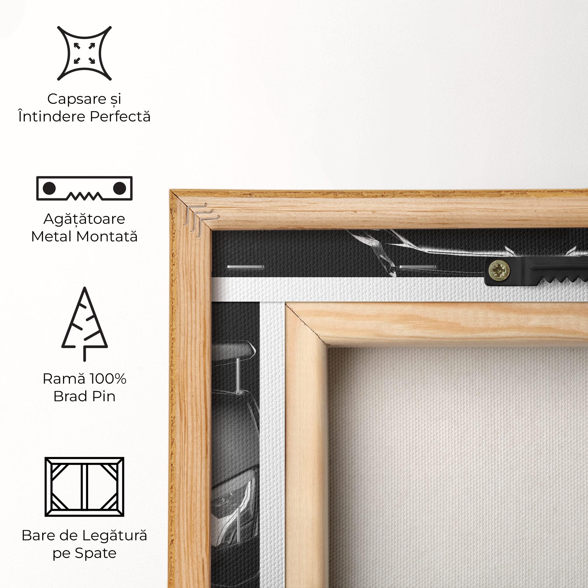 Tablou Canvas Black Matte Lambo mockup 5