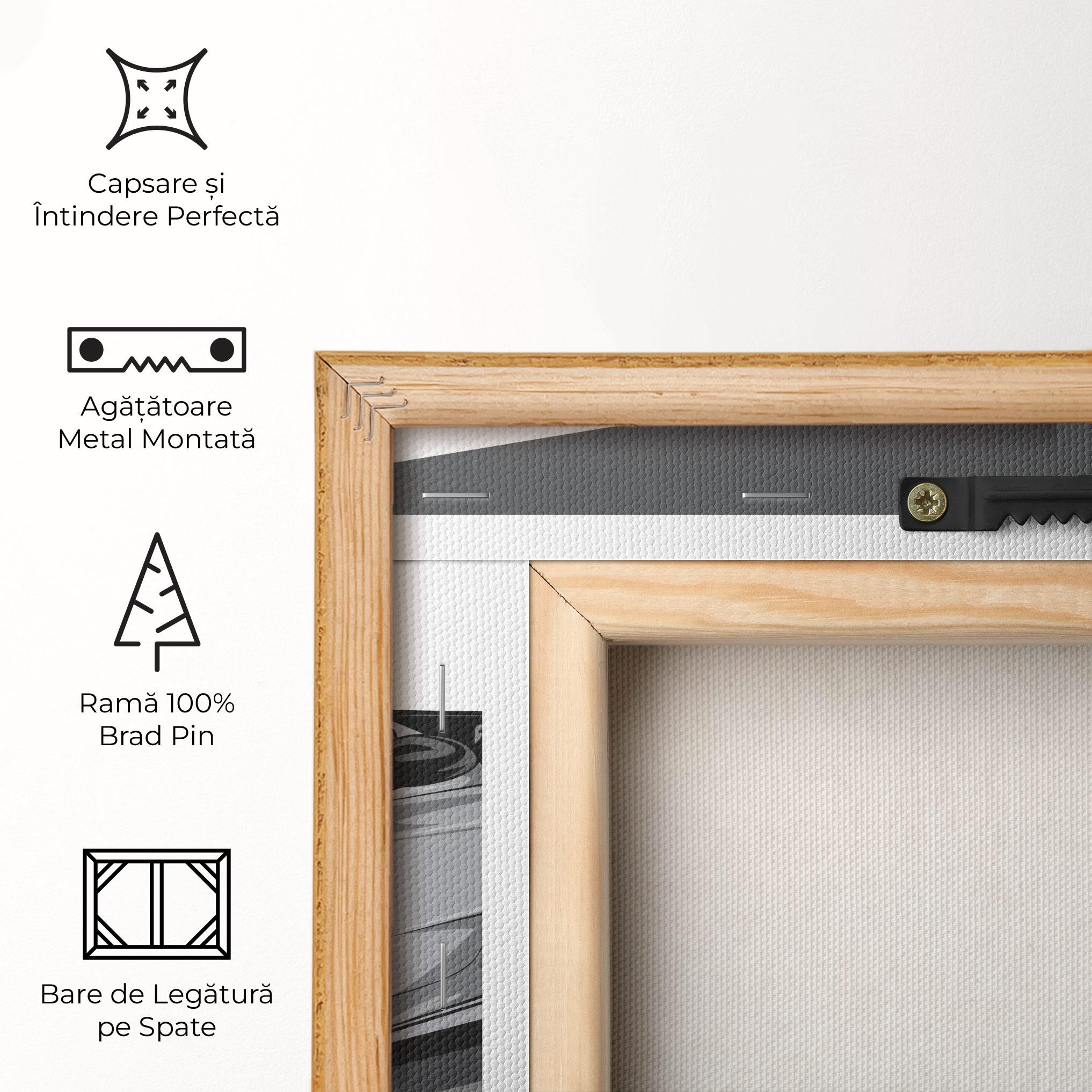 Tablou Canvas Grey Sport Car mockup 5