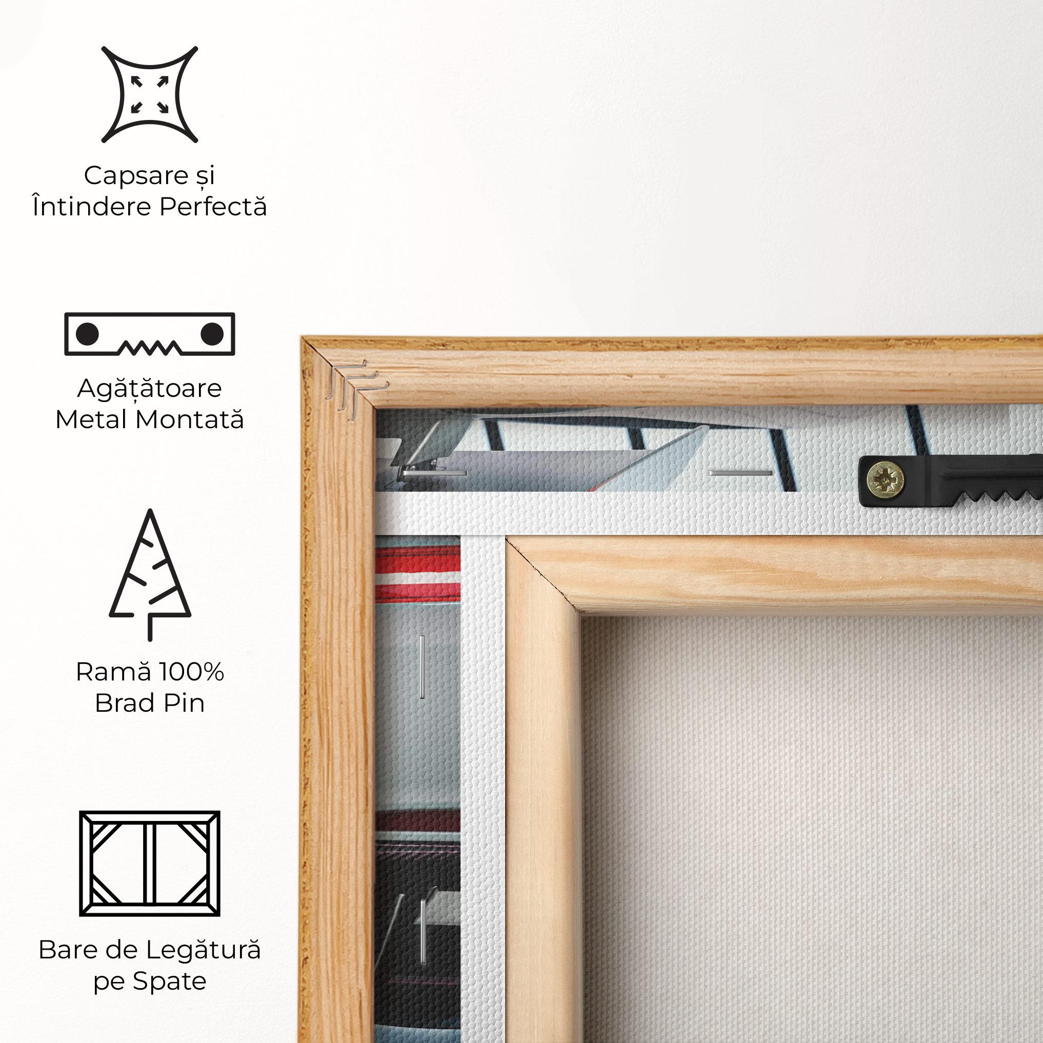 Tablou Canvas White Mercedes Amg mockup 5