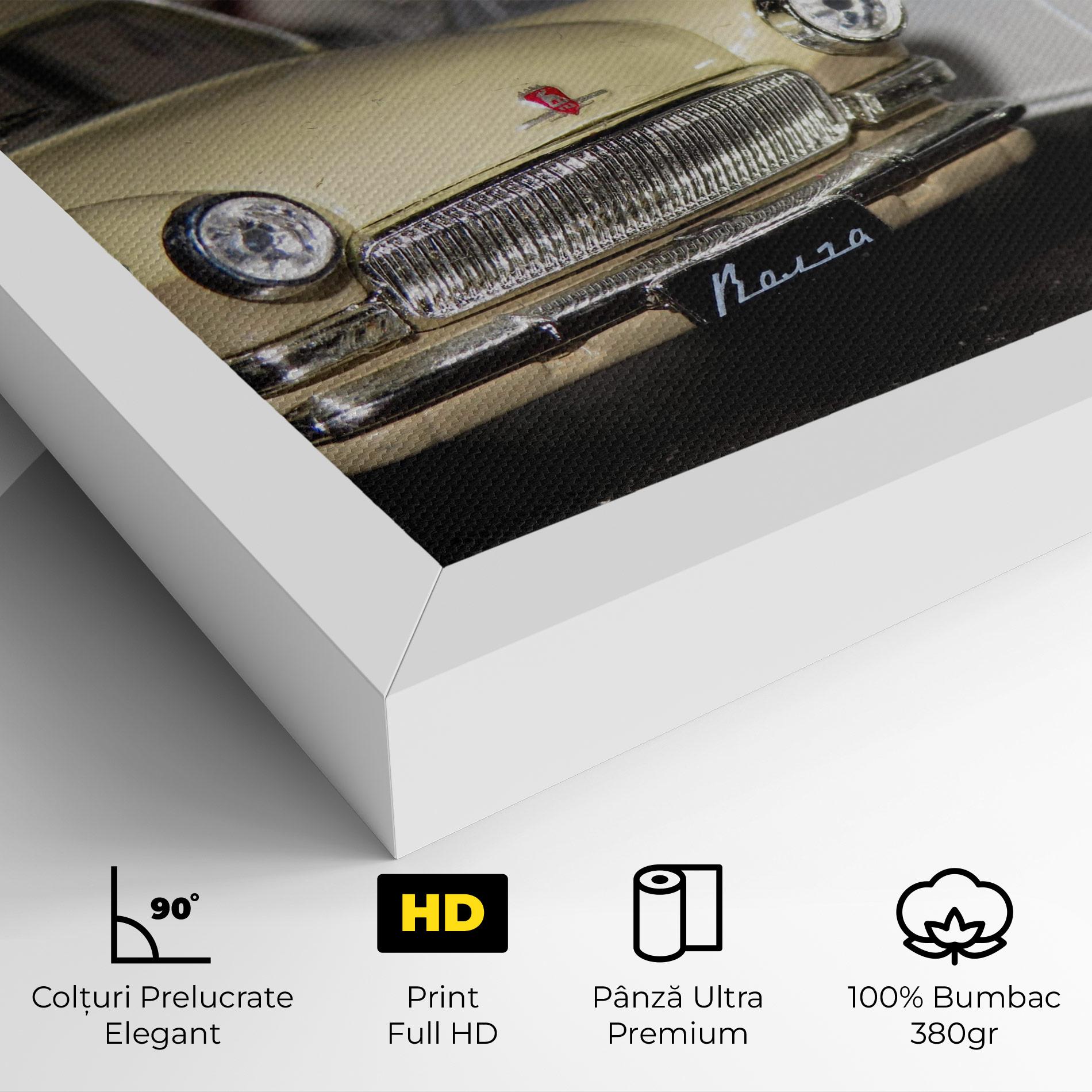 Tablou Canvas Cream Grey Car mockup 4