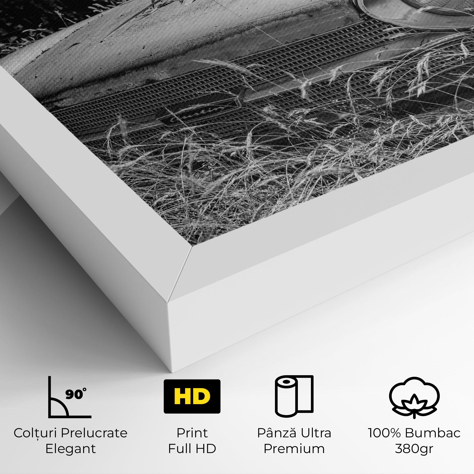 Tablou Canvas Old Field Car mockup 4