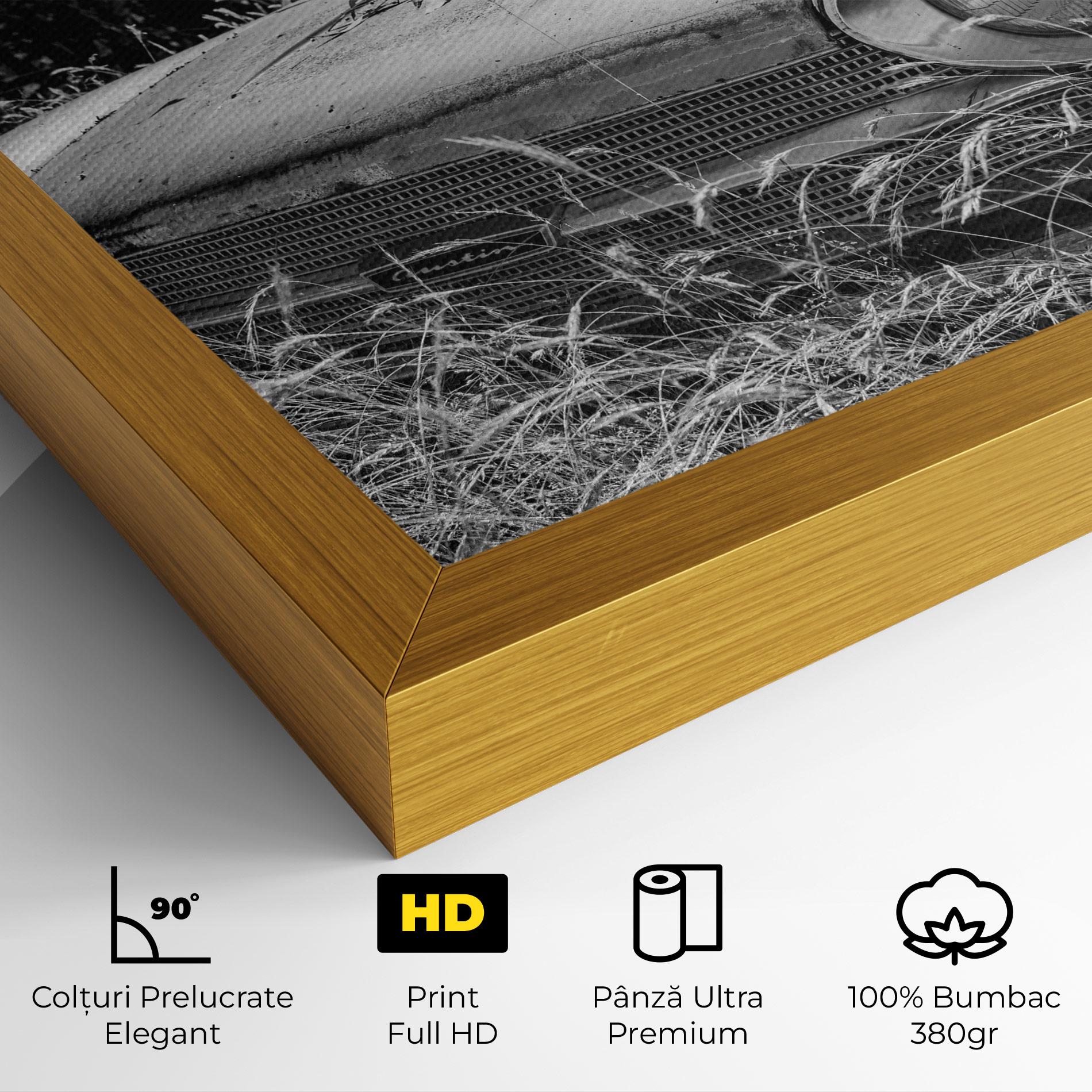 Tablou Canvas Old Field Car mockup 4