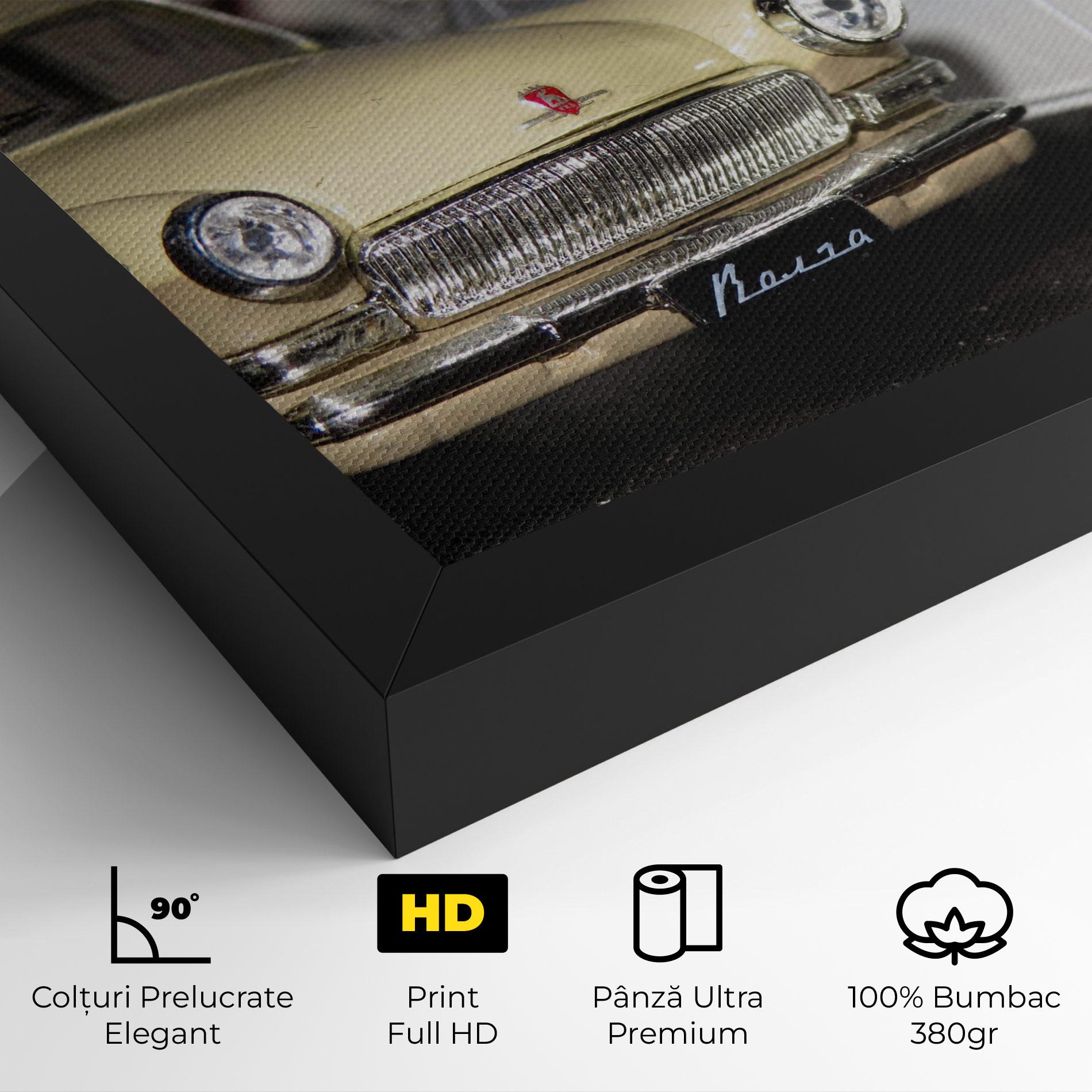 Tablou Canvas Cream Grey Car mockup 4