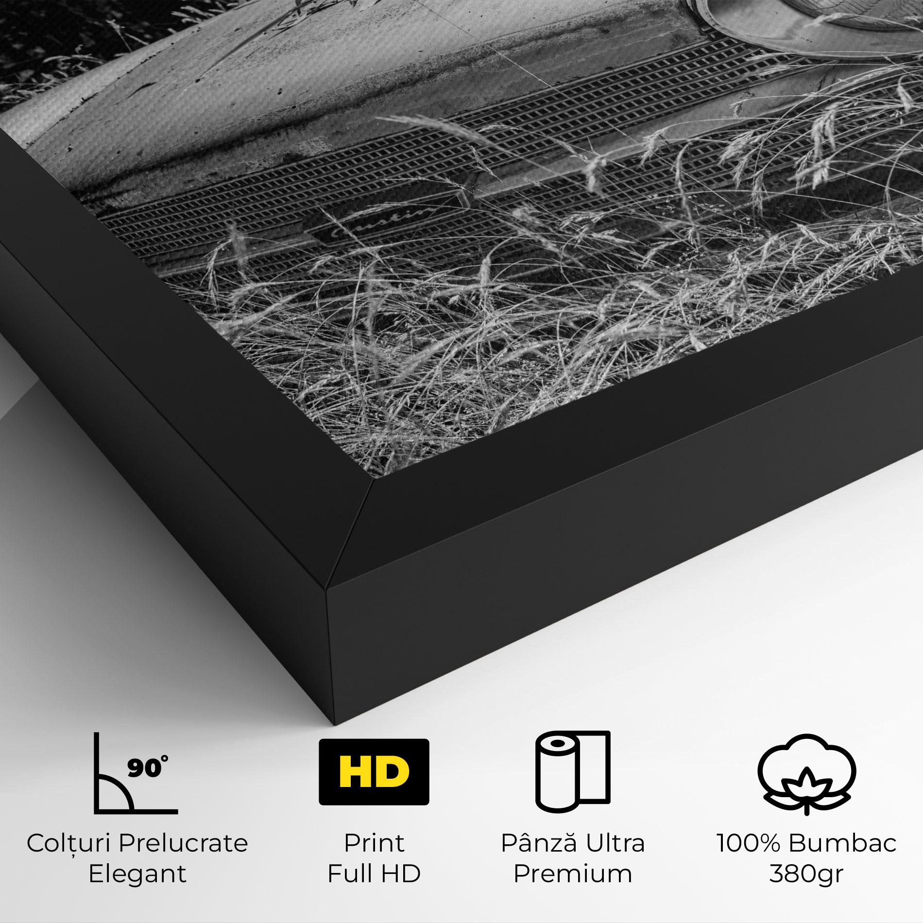 Tablou Canvas Old Field Car mockup 4