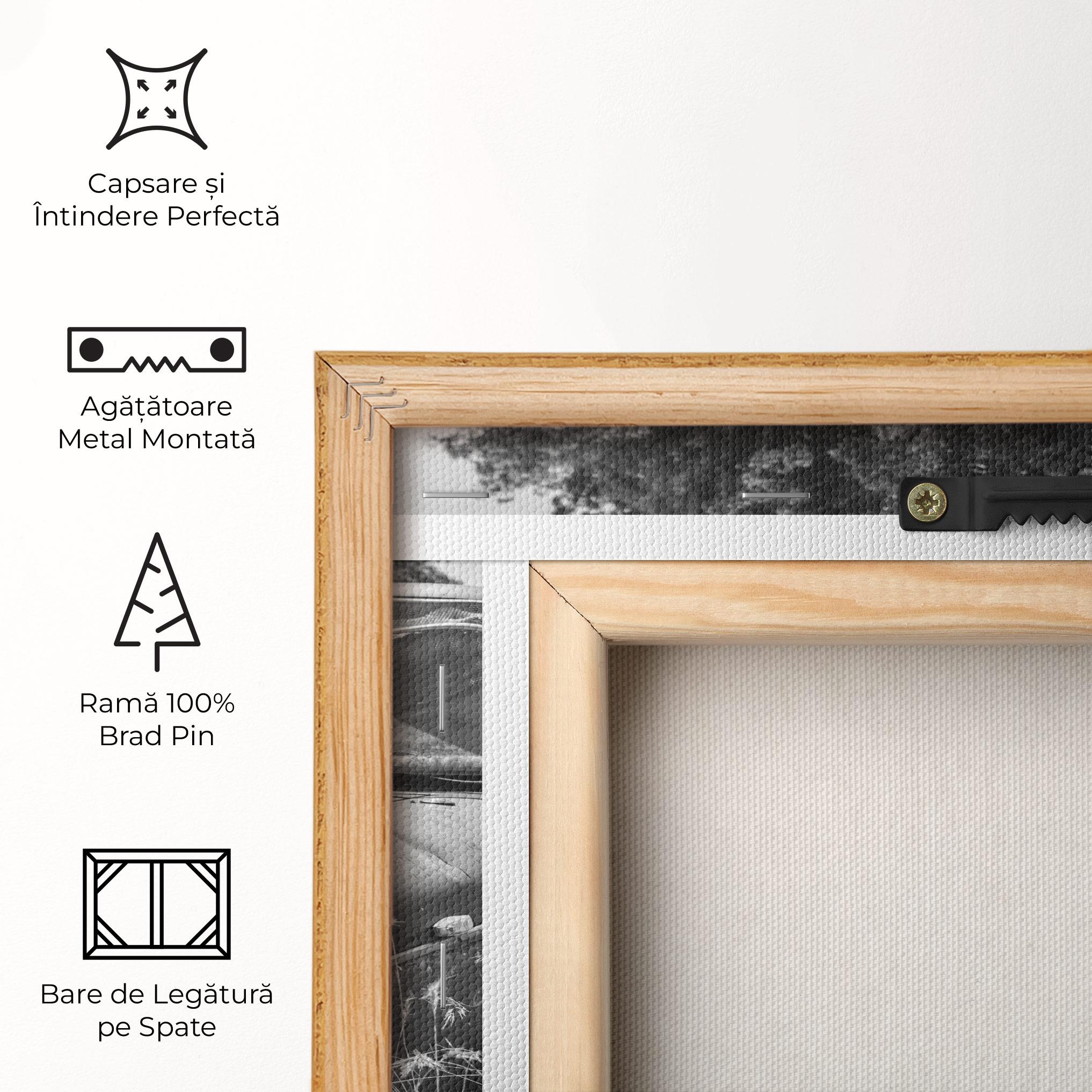 Tablou Canvas Old Field Car mockup 5