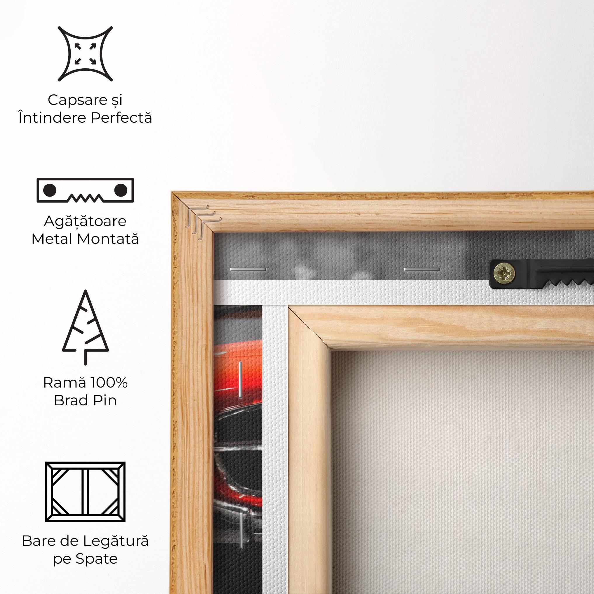 Tablou Canvas Vintage Red White mockup 5