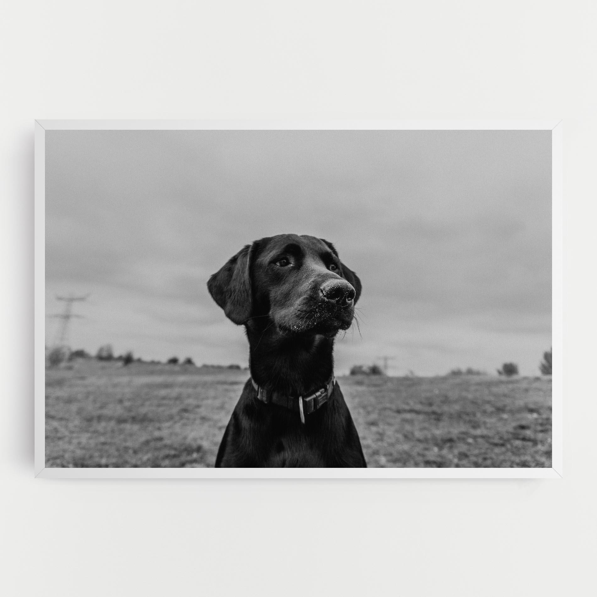 Tablou Canvas Black Dog mockup 0