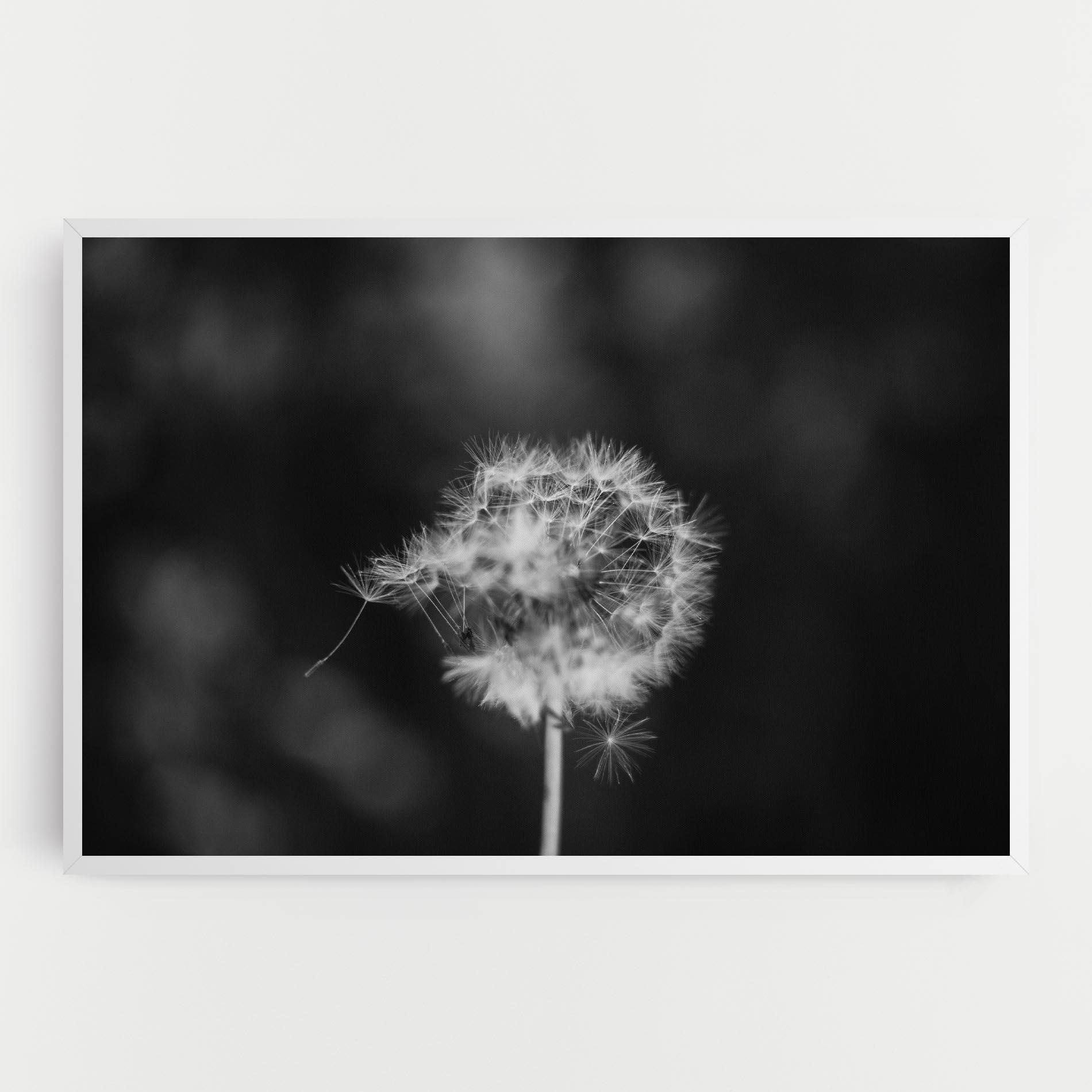 Tablou Canvas Grey Dandelion mockup 0