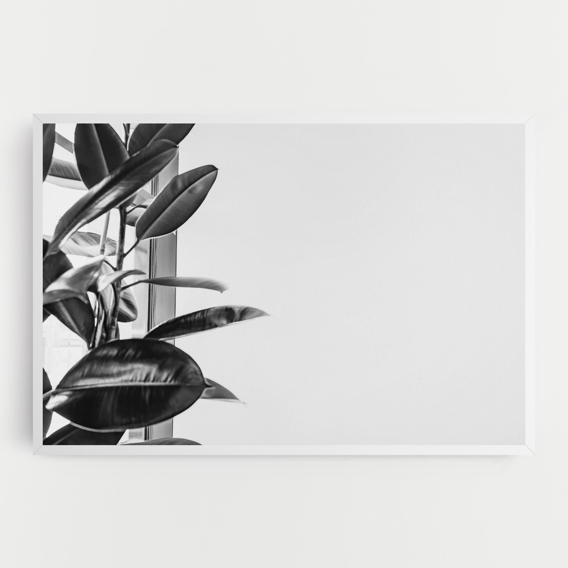 Grey Plant mockup 0