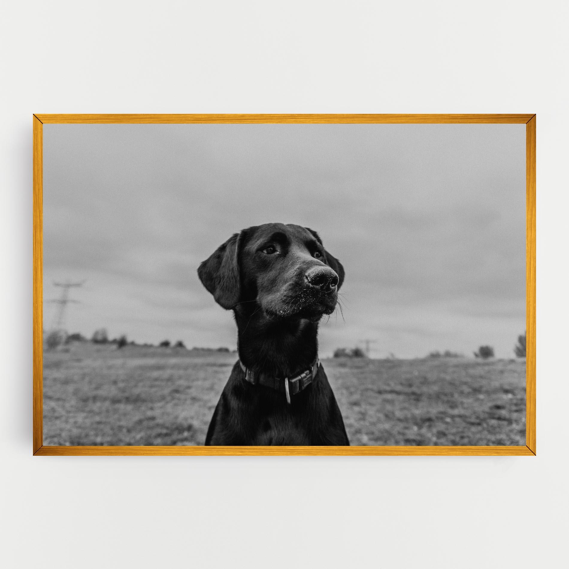 Tablou Canvas Black Dog mockup 0