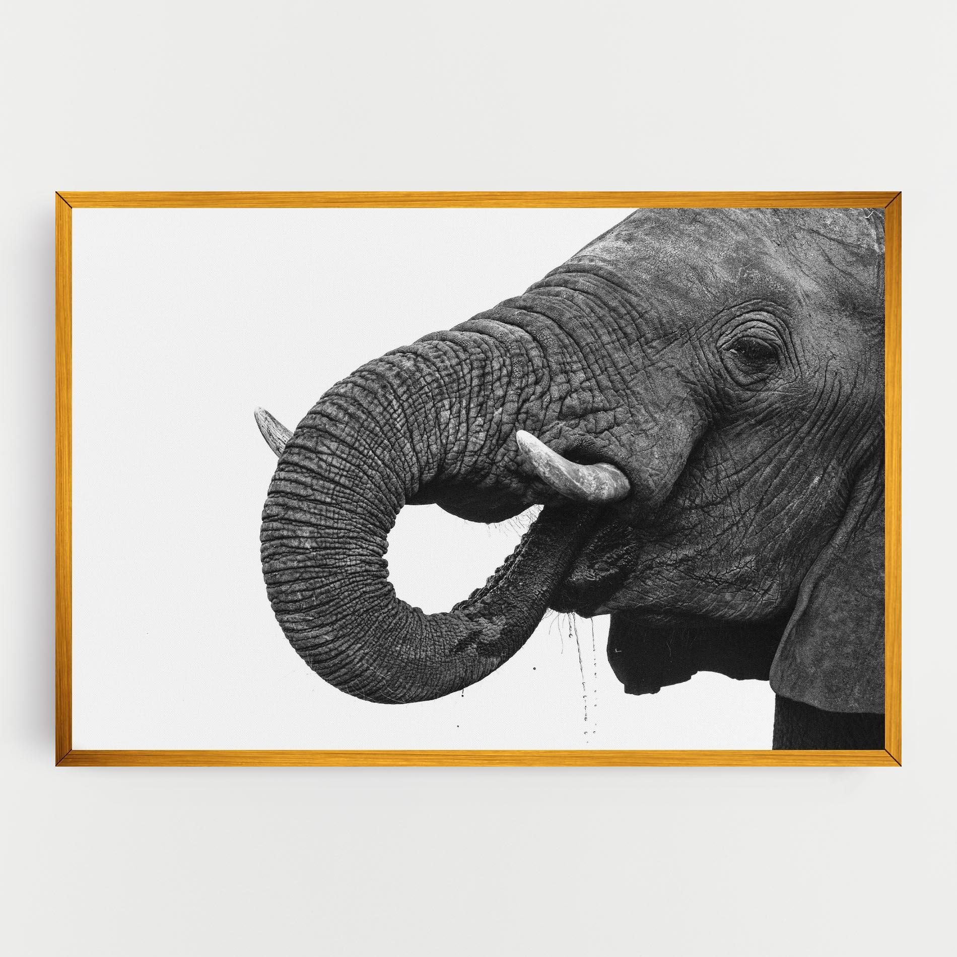 Tablou Canvas Elephant Drinking mockup 0